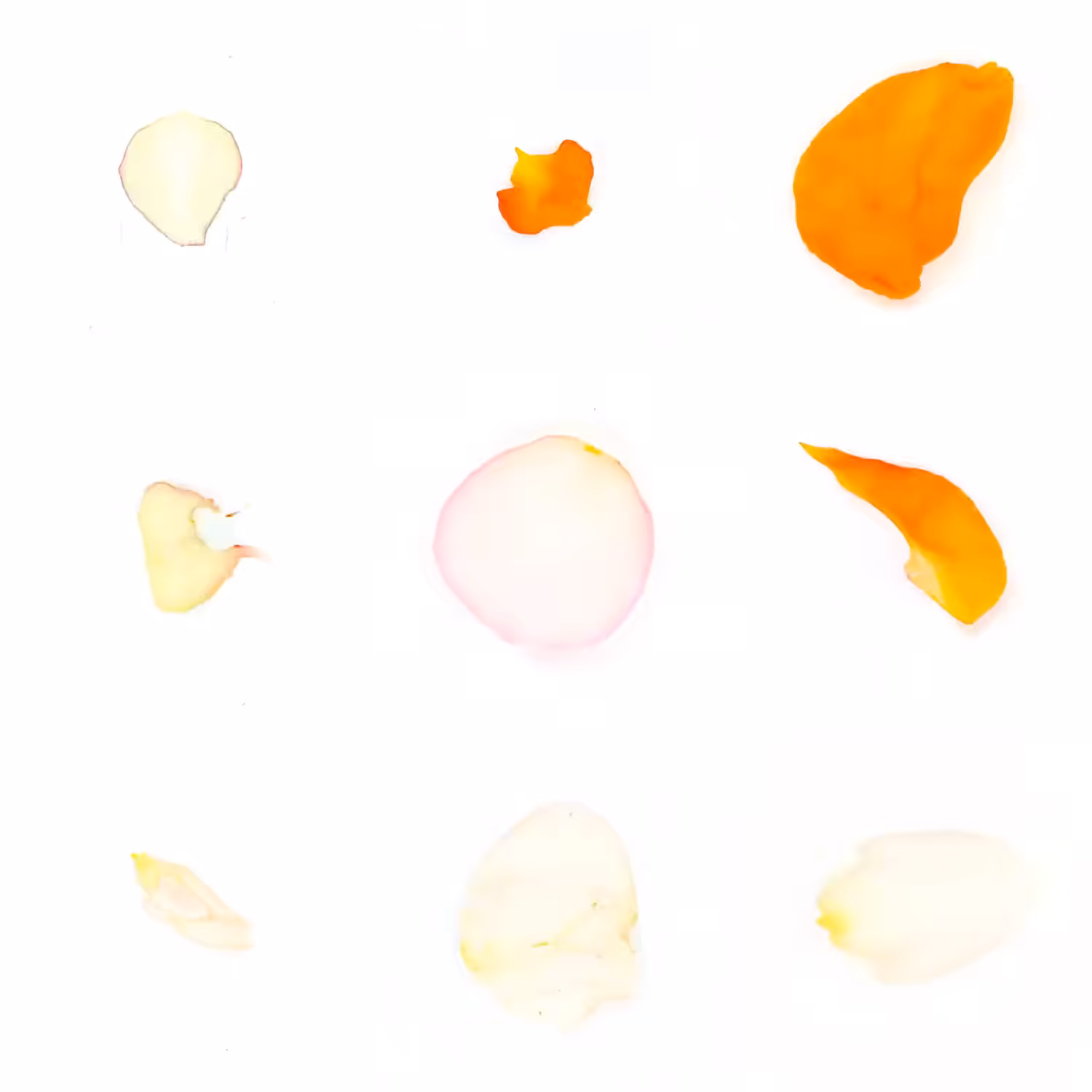 Infinite Petals 3x3#167