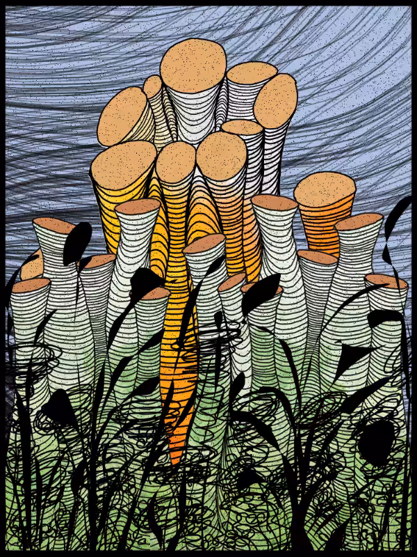 Play with lines #zentangle #61