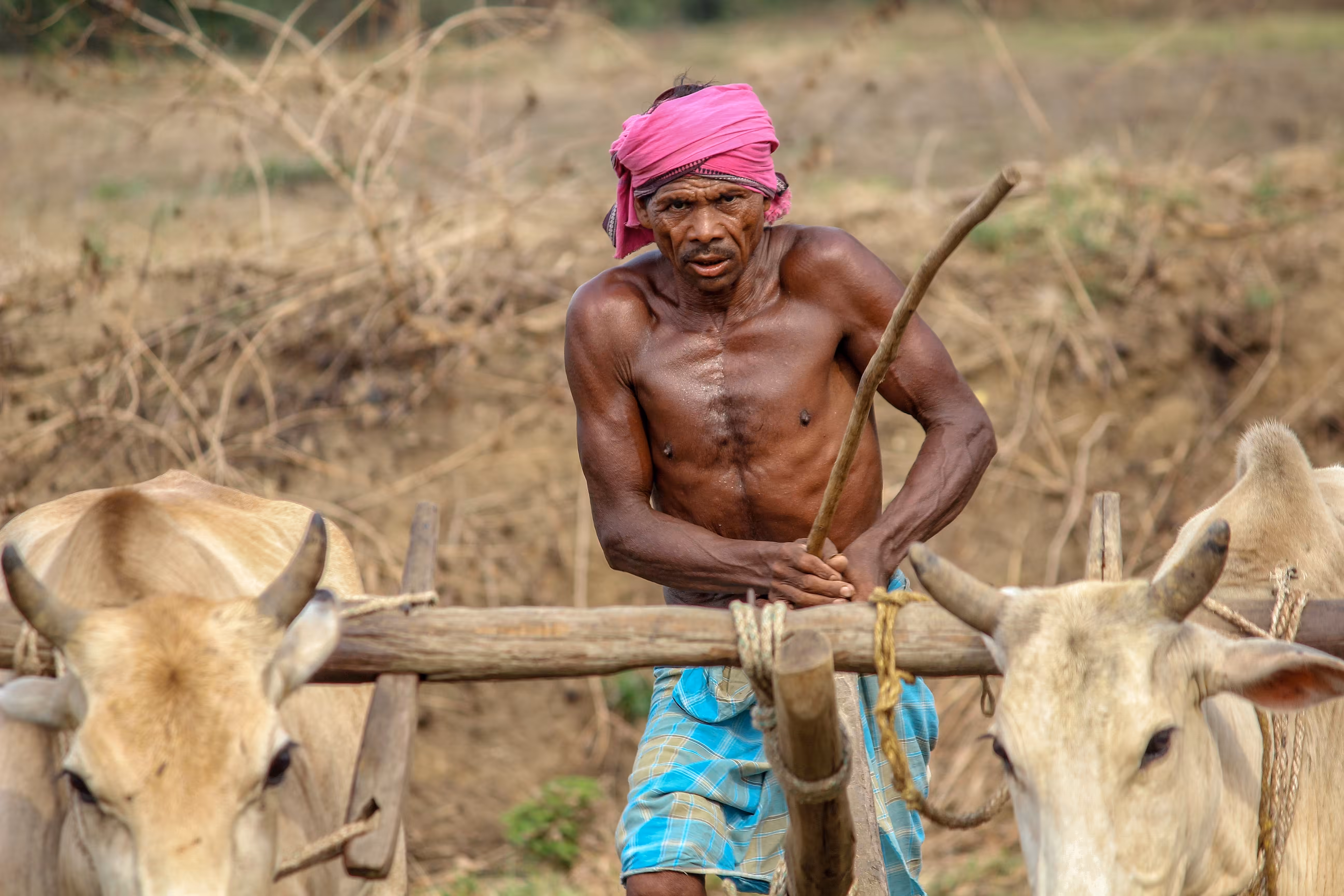 Cultivator