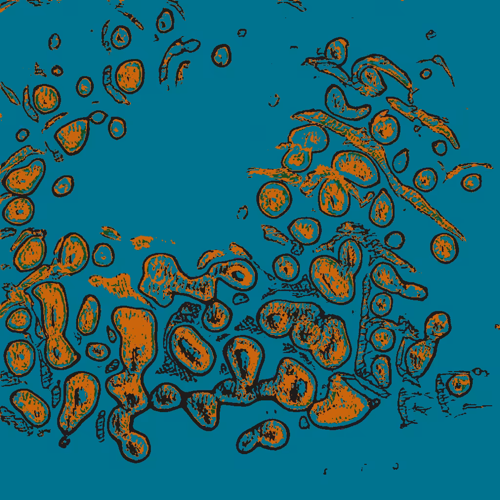Confluence #810