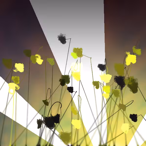 Cottongrass #59