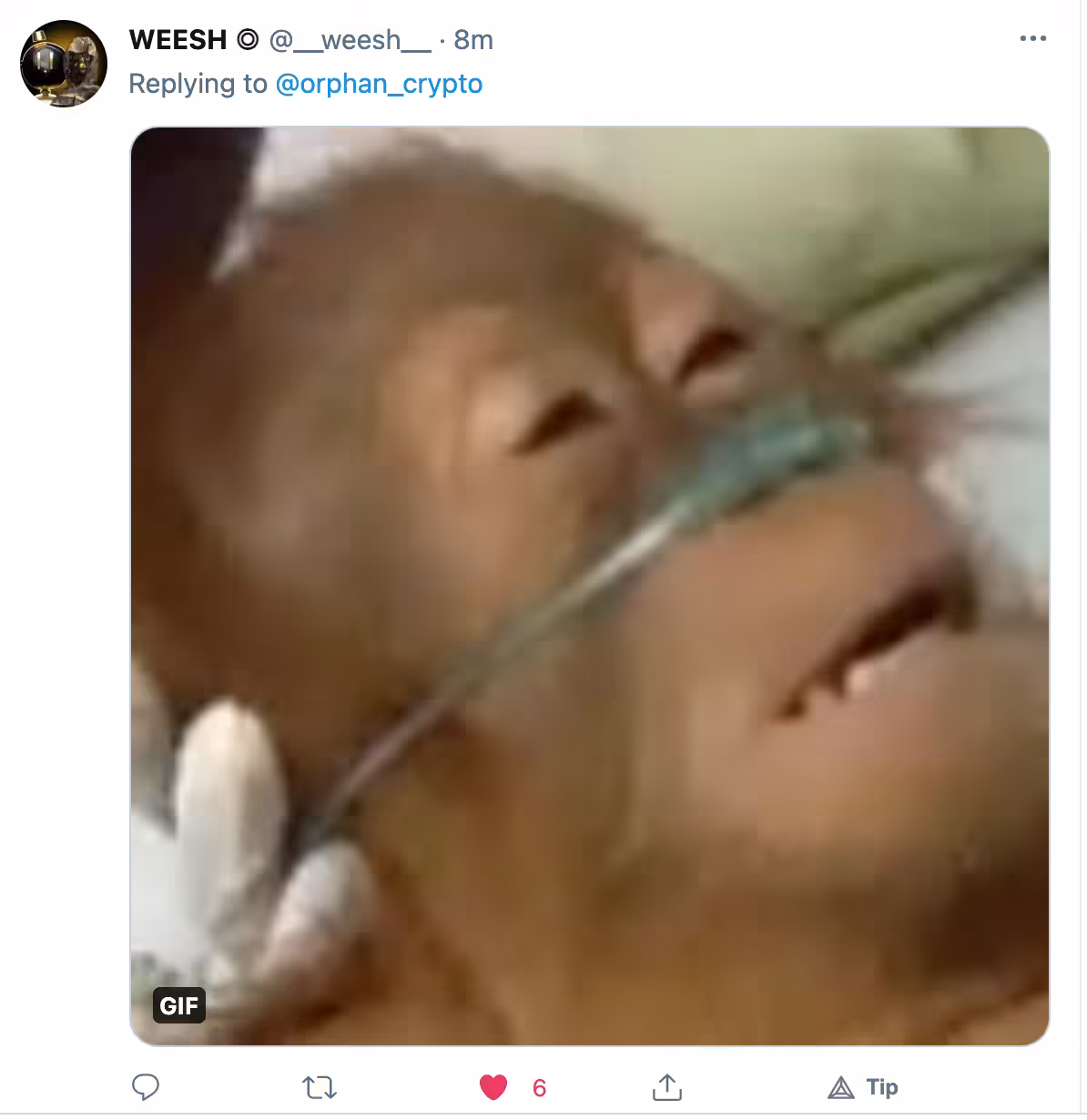 ROFL BANANA TIME BAYBEEEE!!! (emotional)
