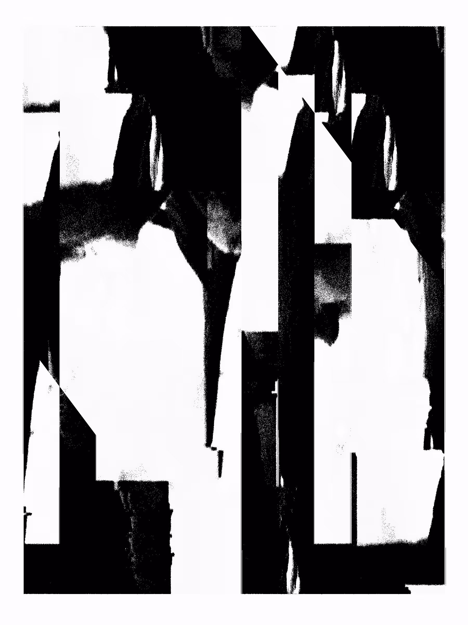 Echo, No Resonance #85