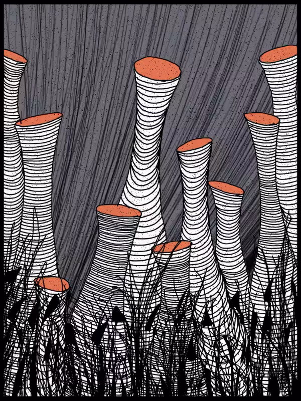 Play with lines #zentangle #35