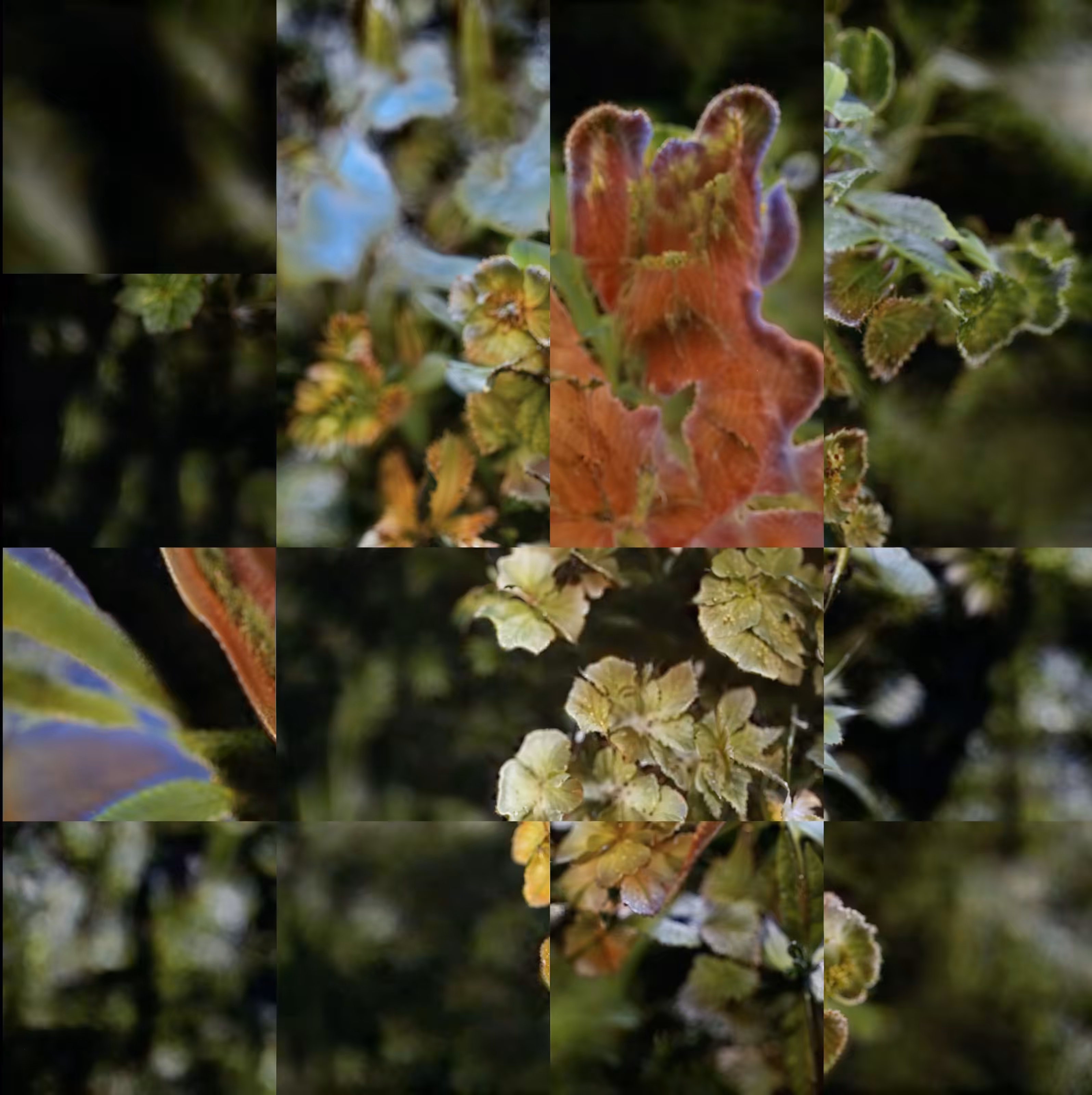 Views of Seasons: June