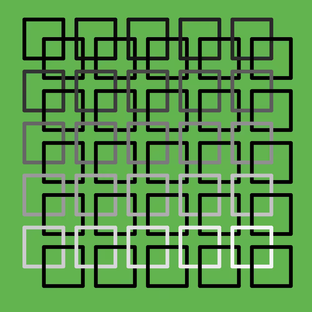 connect #5