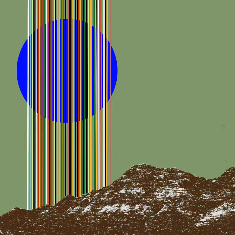 collage #1  from nature #56