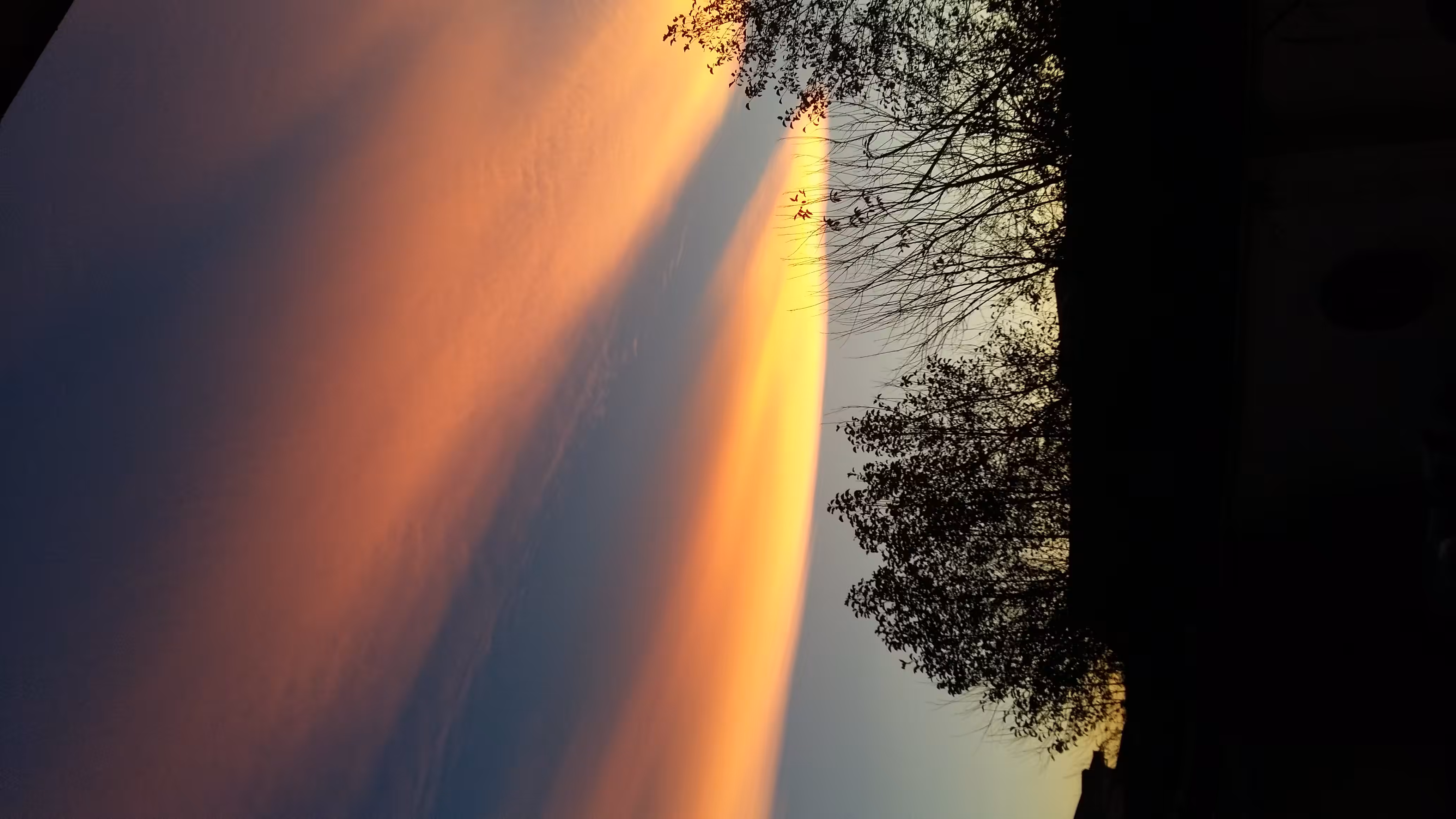 Golden Sky