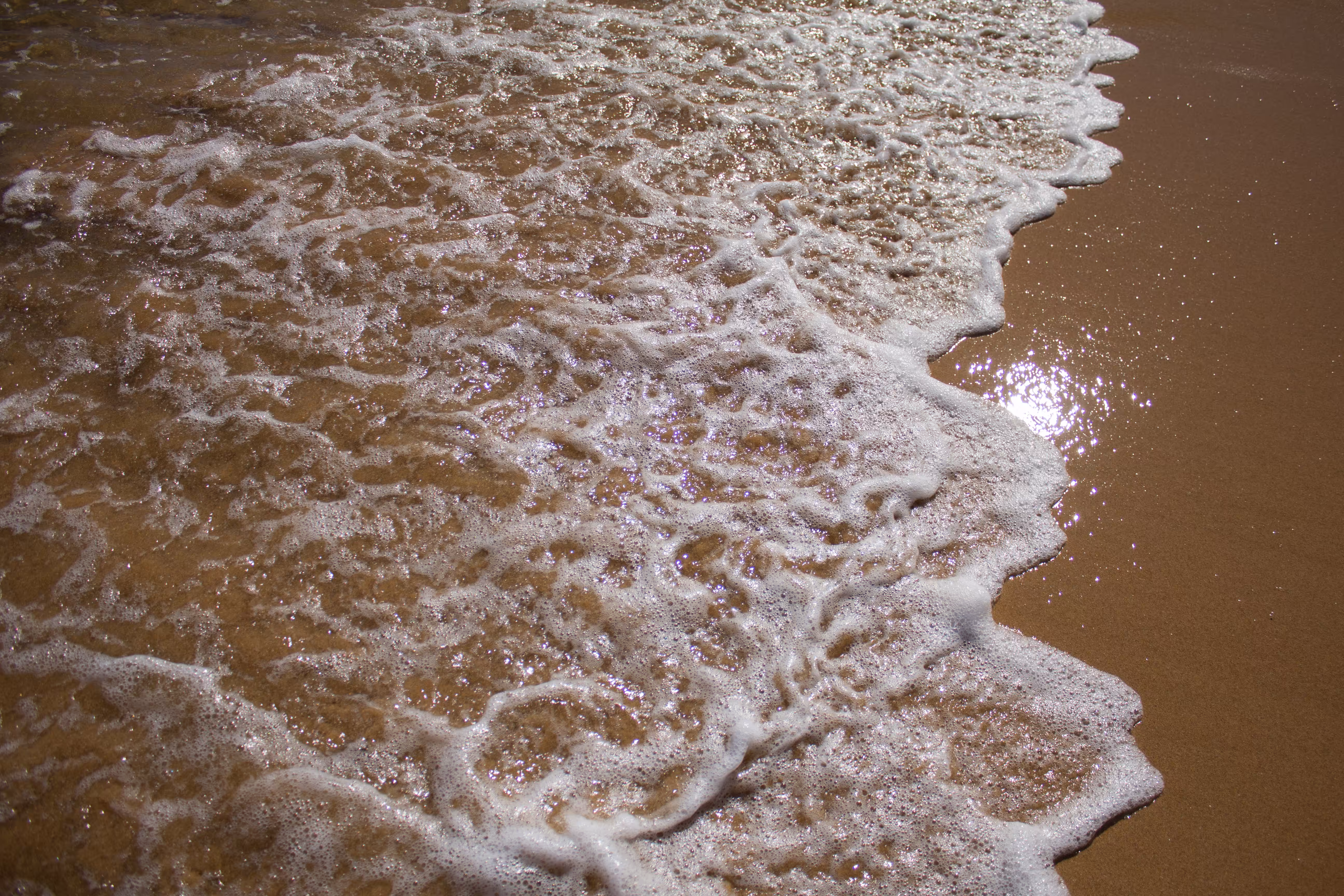 beach in sagras portugal