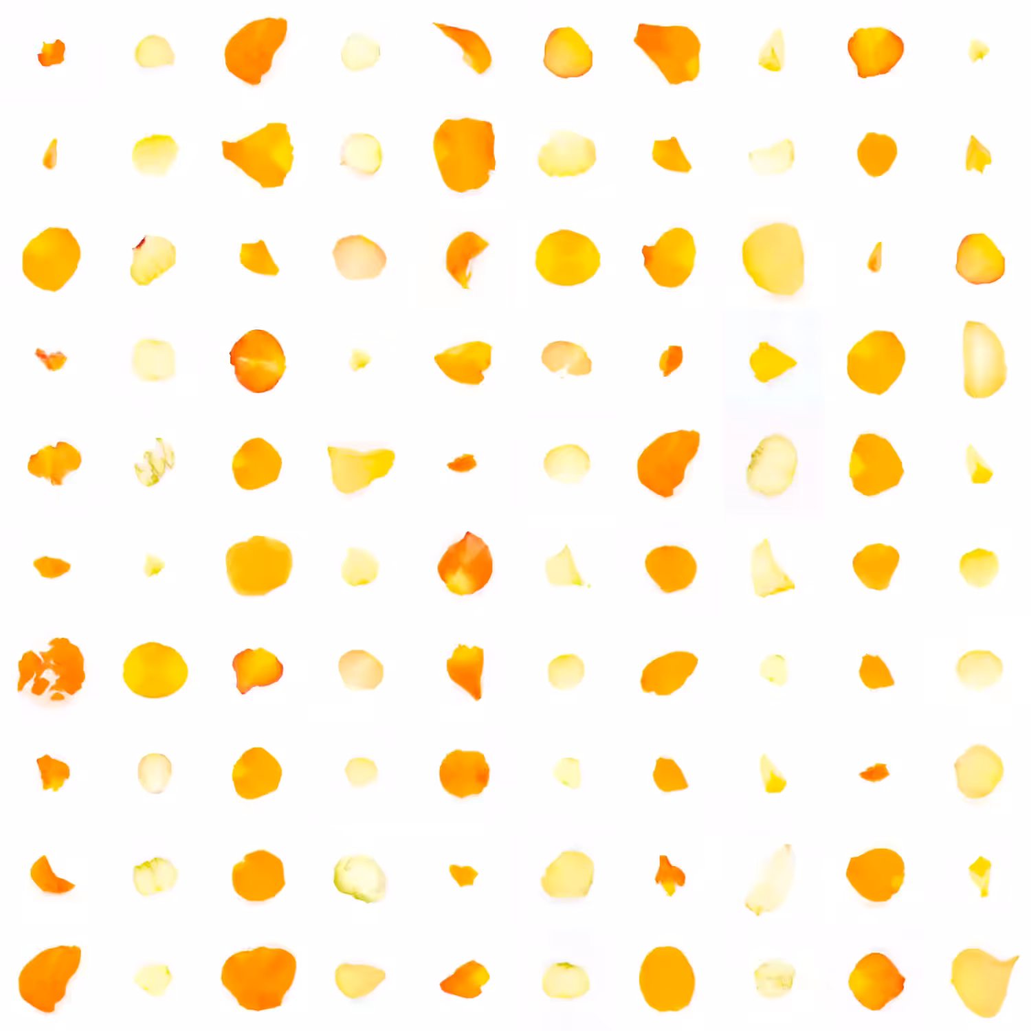 Infinite Petals 10x10#2626
