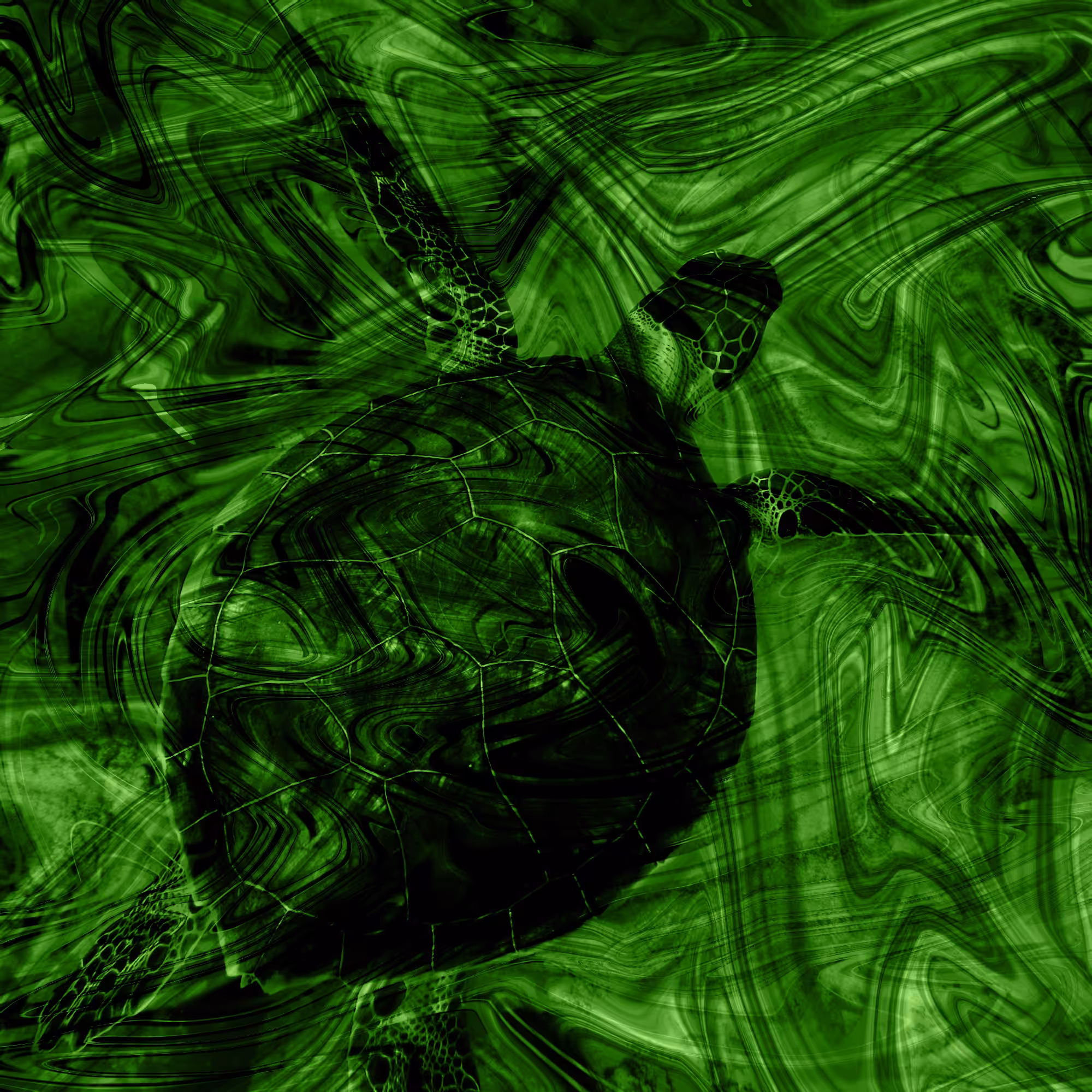 Abstract Turtle