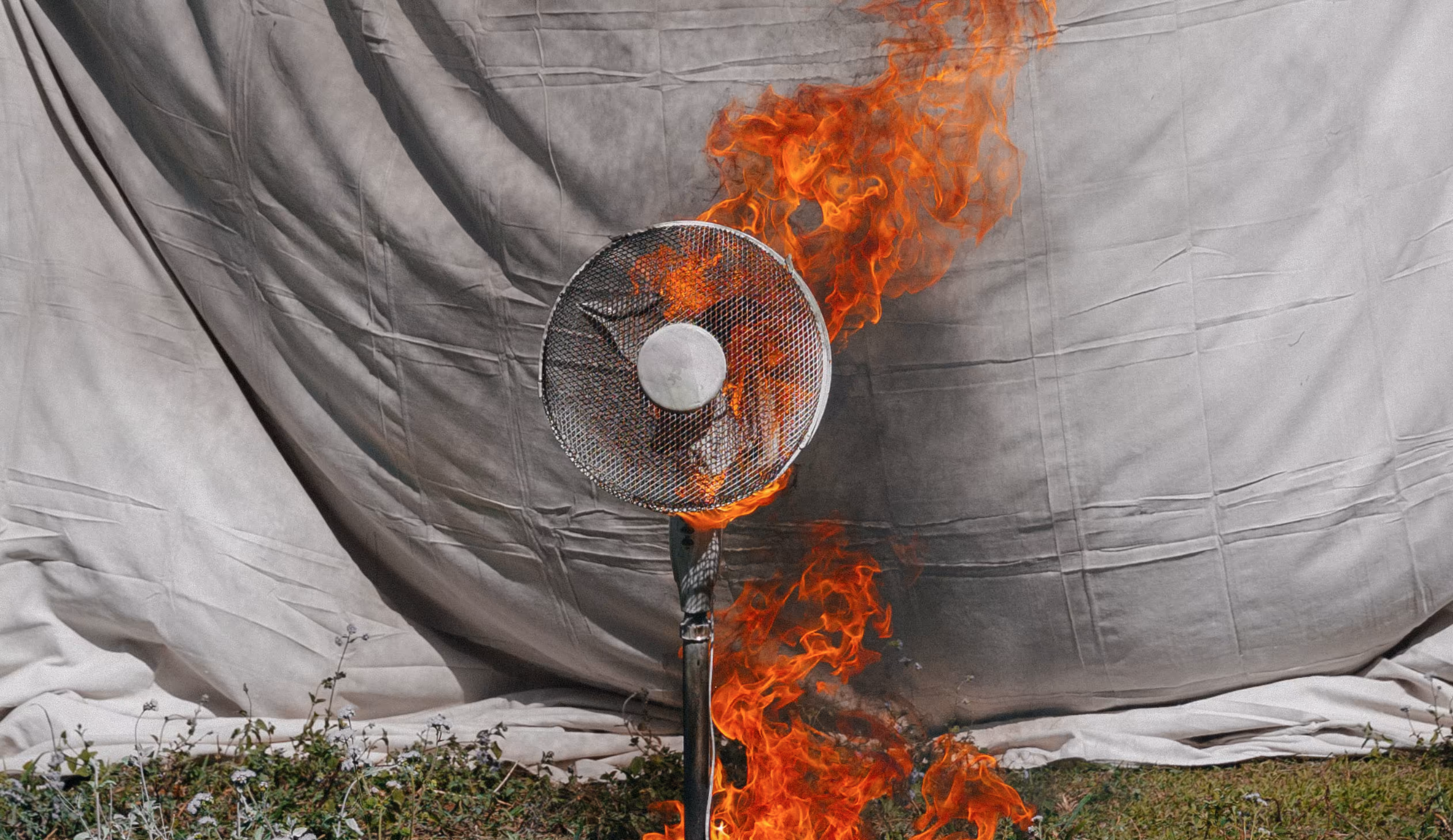 Fan