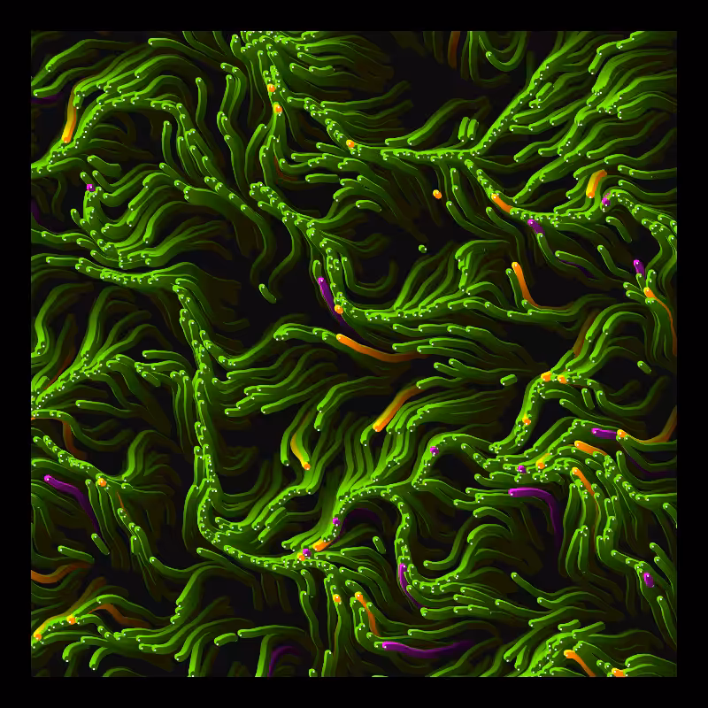 Worms Migration #10