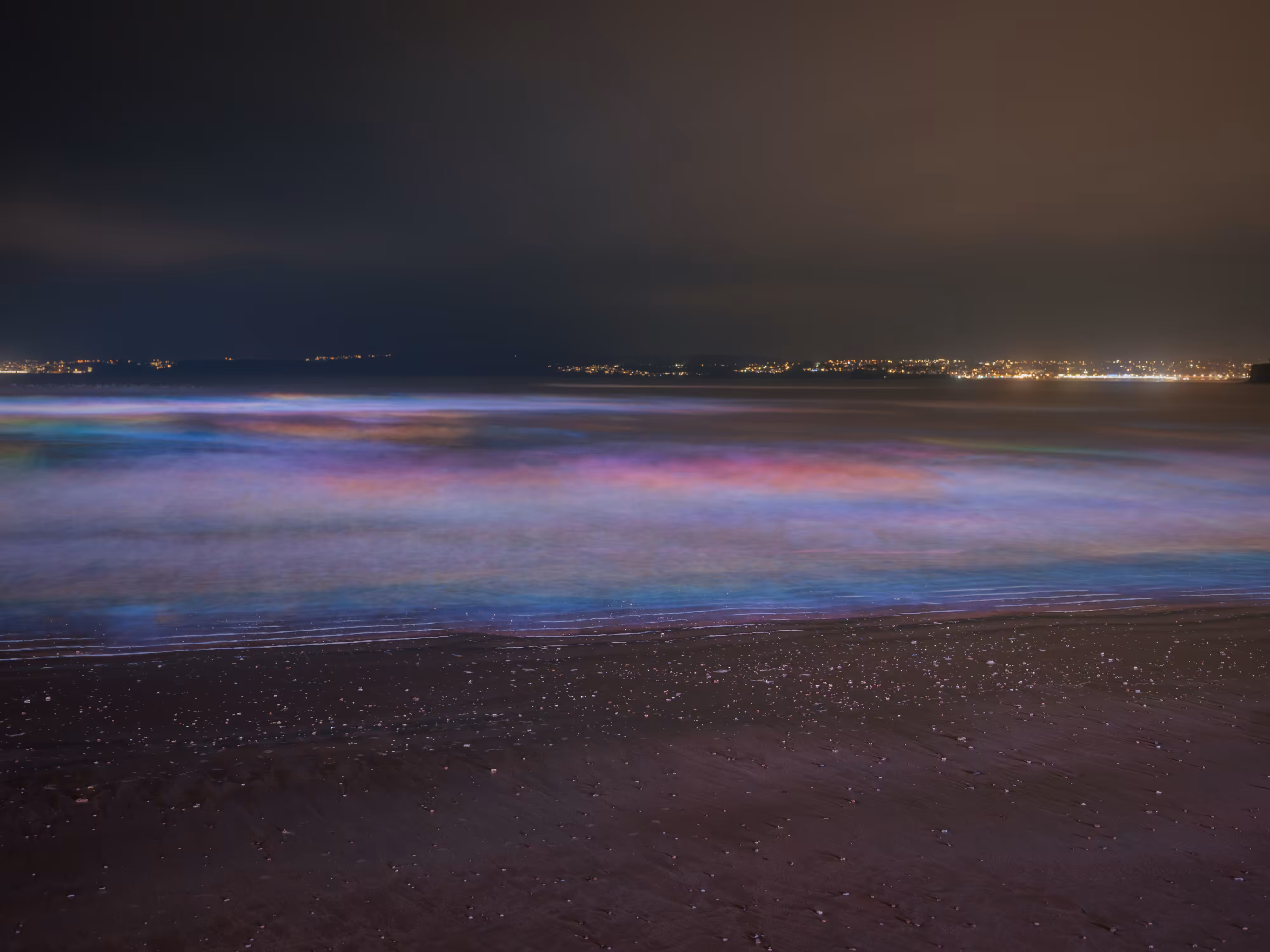 🌈Torre Abbey Sands 6