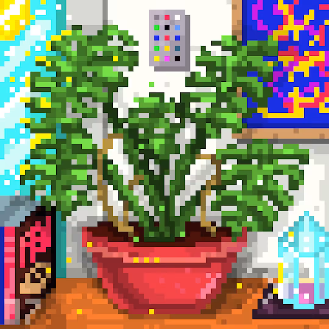 Plant of Monstera - Galactible #7