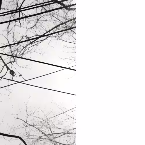 Rodeo posts: [dis]connections pt 4