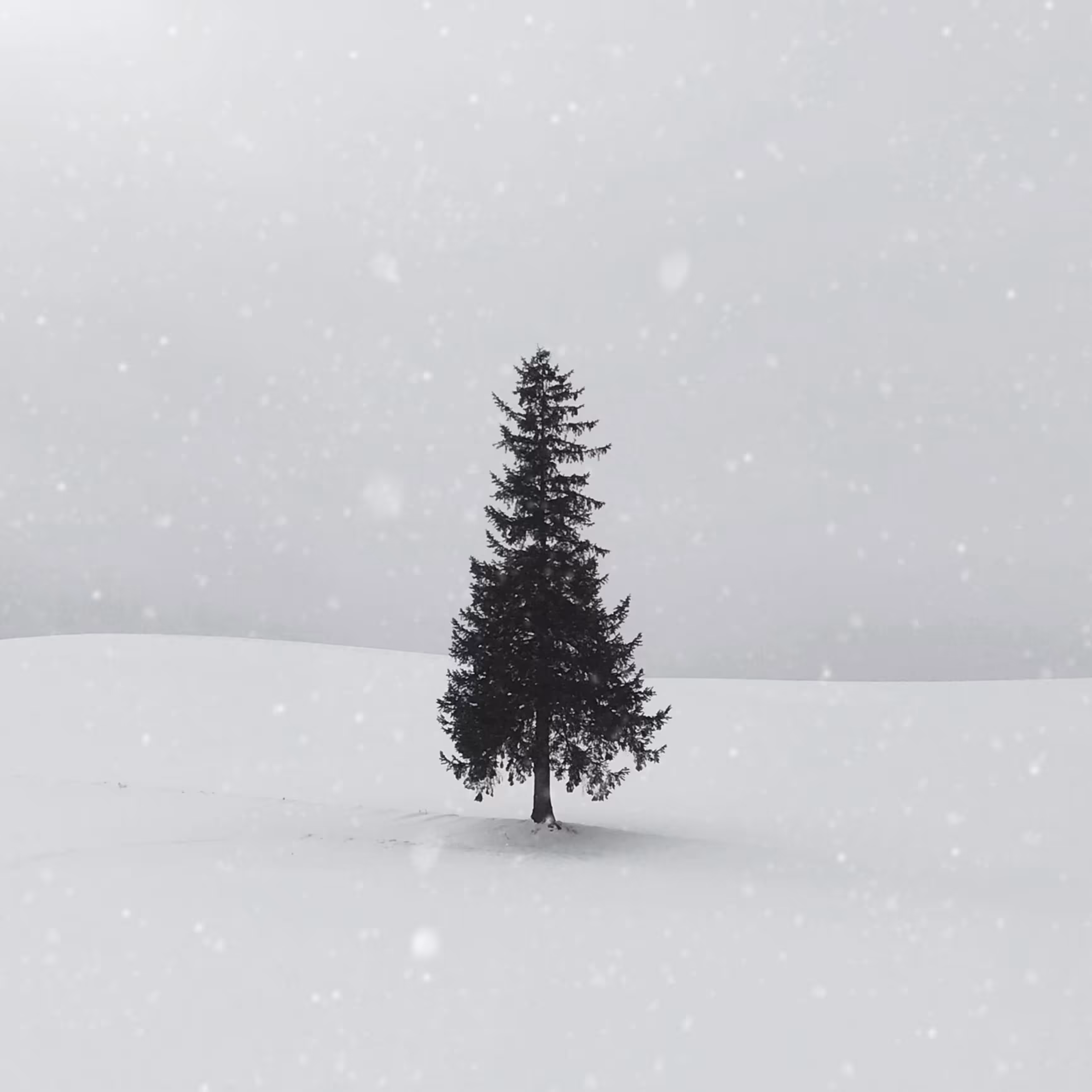 Eternal Stillness