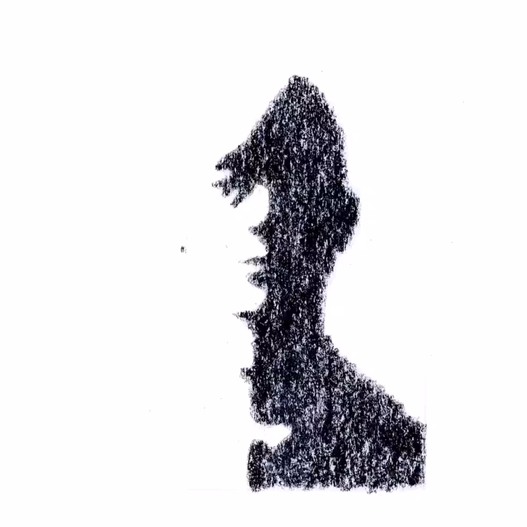 Shadow Map