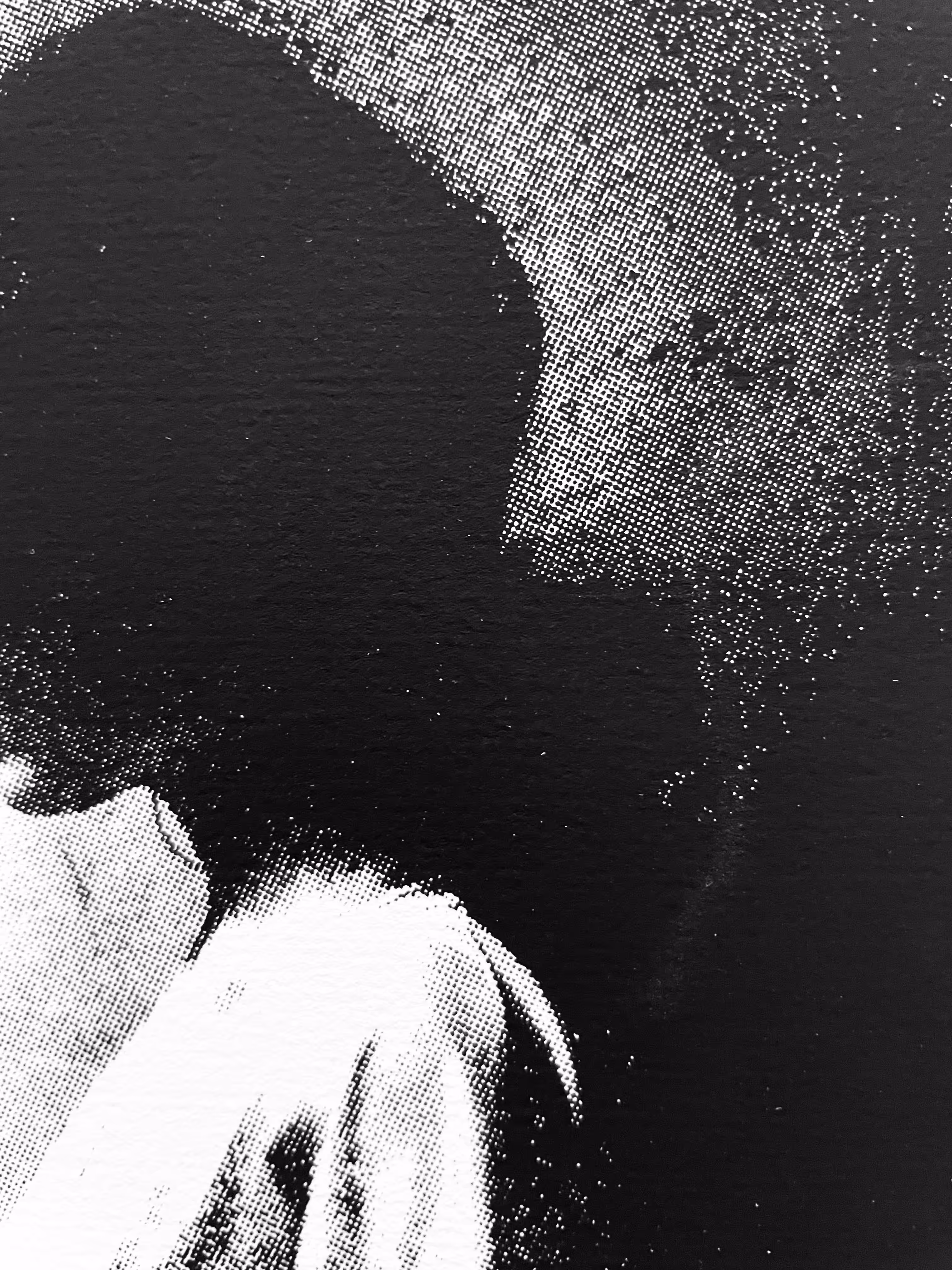 Rodeo posts: scrnprnt_dtl_002