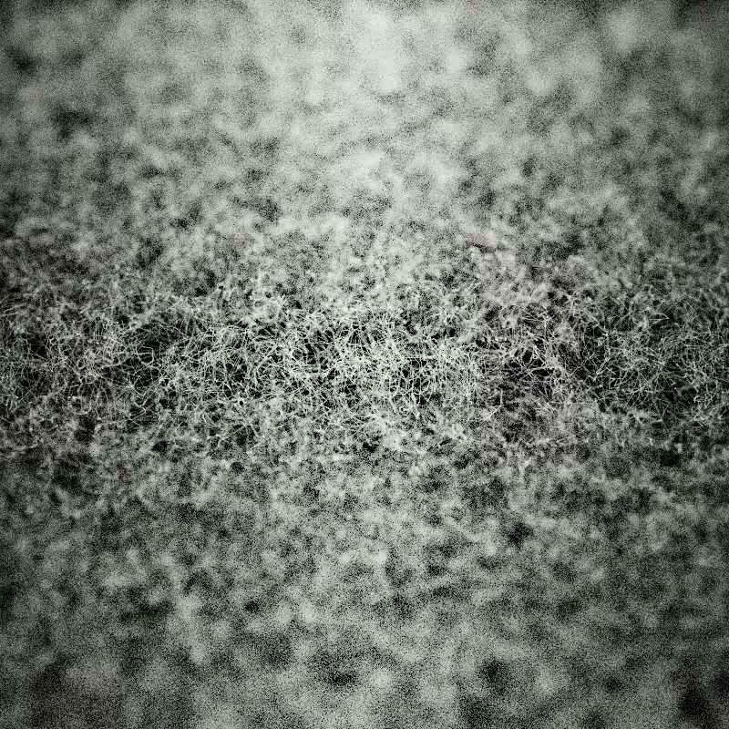 Field of noise #25