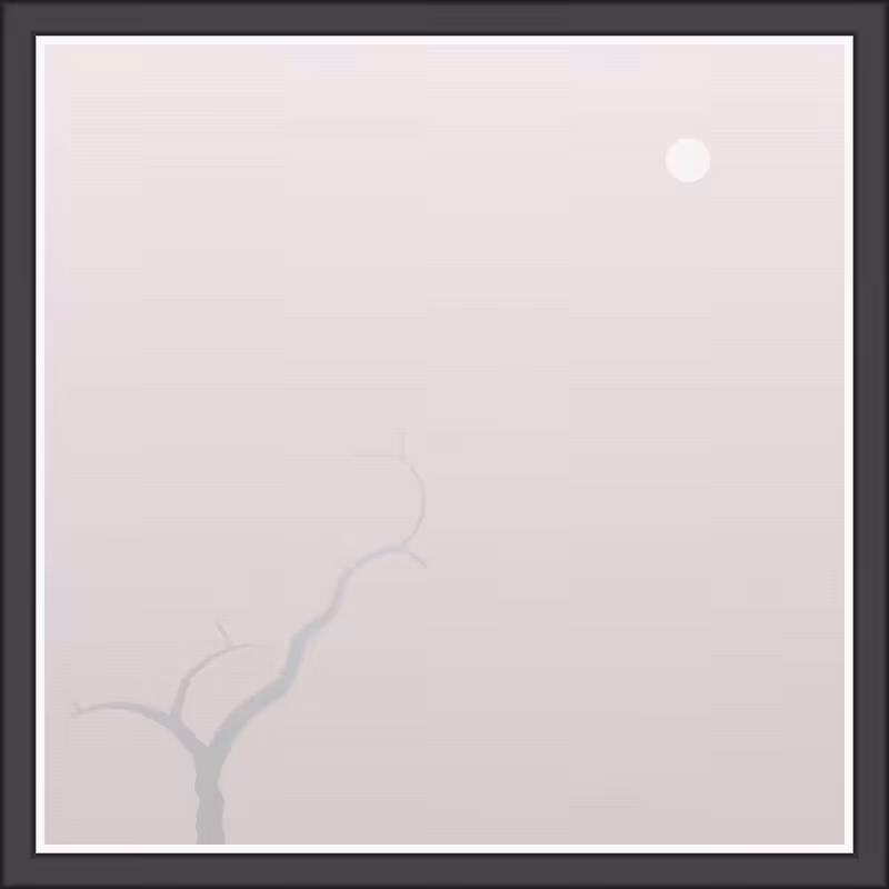 The Foggy Trees #131