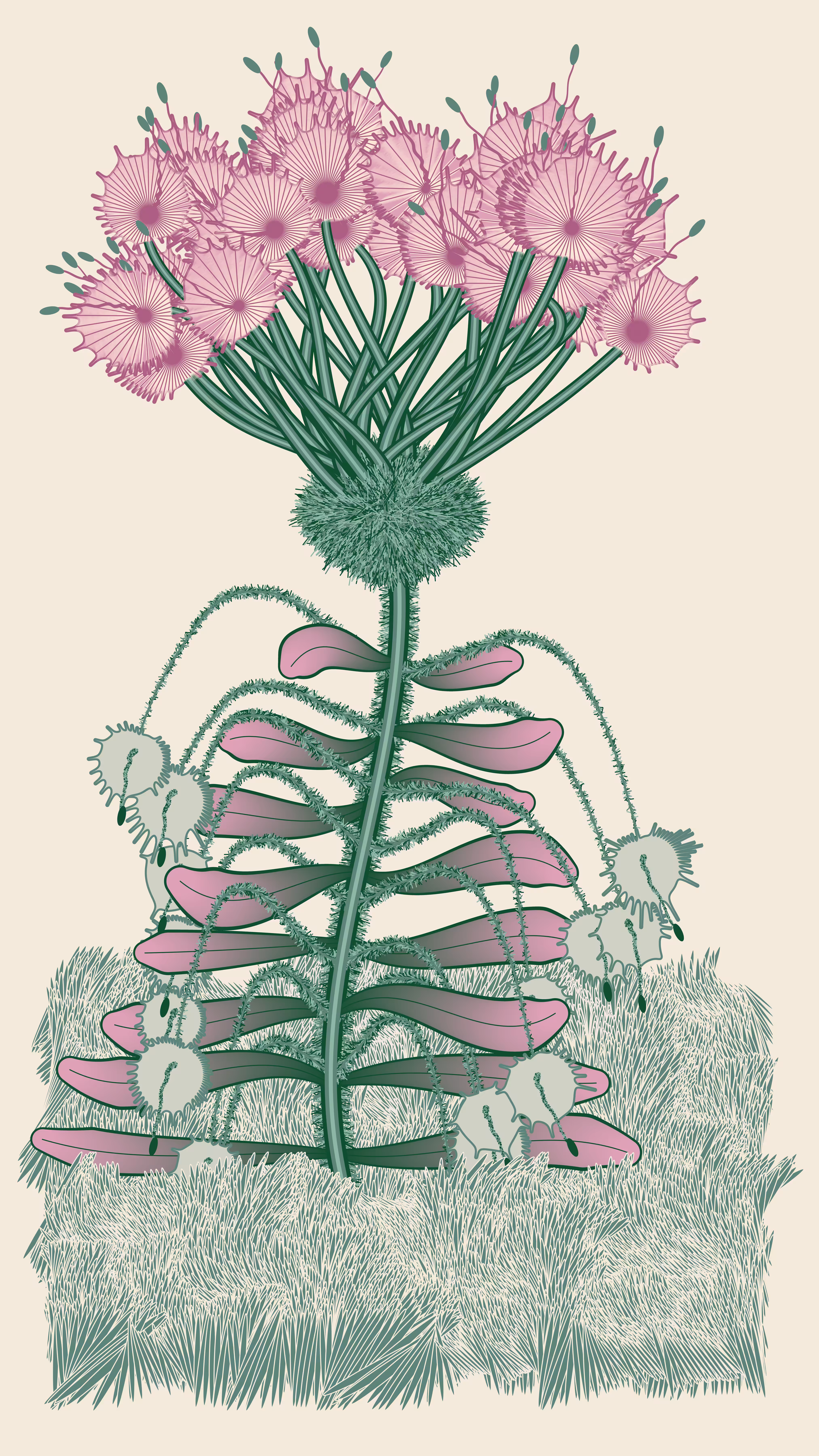 Usual final (The Great Computational Herbarium)