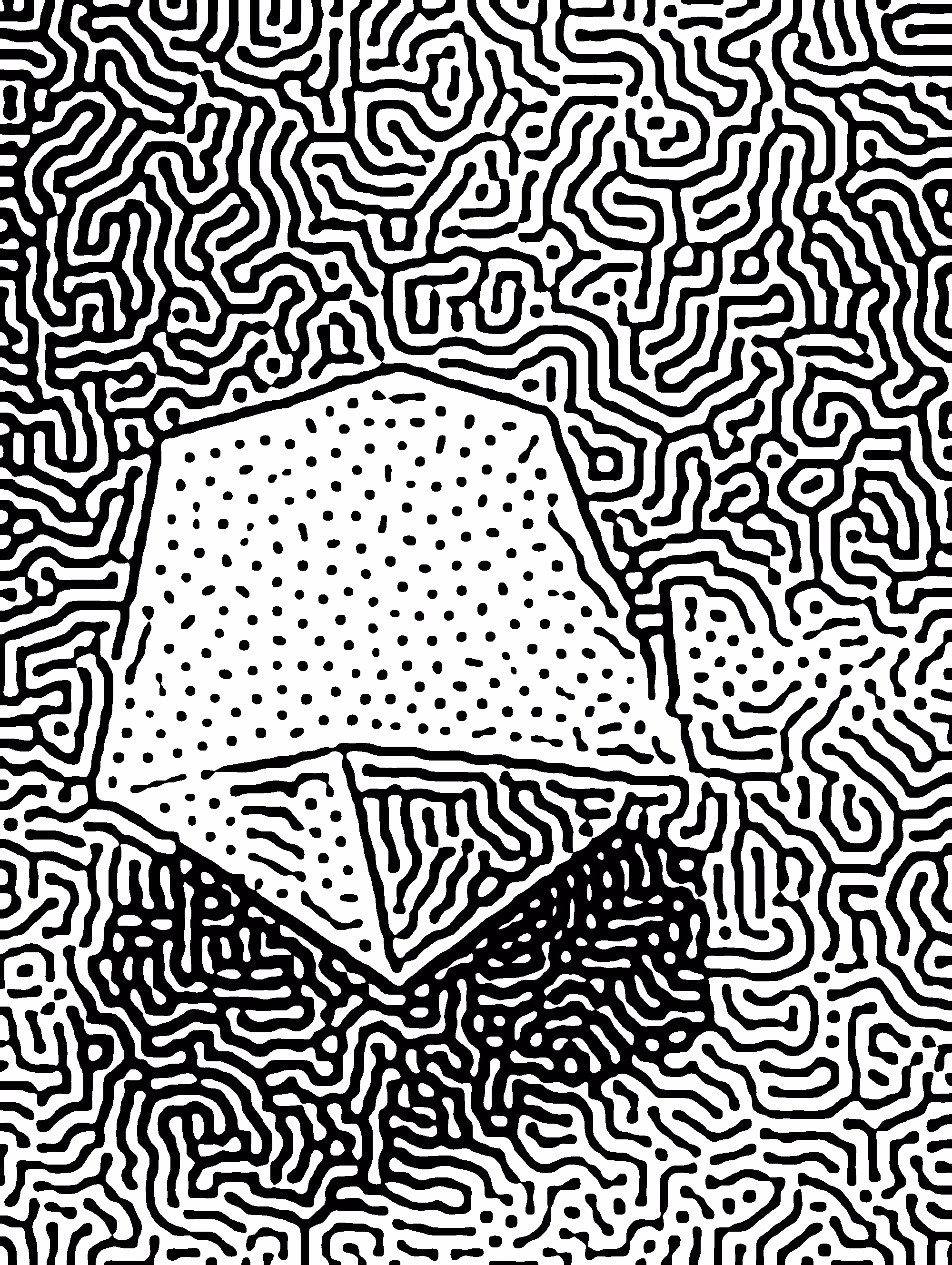 turing polygon
