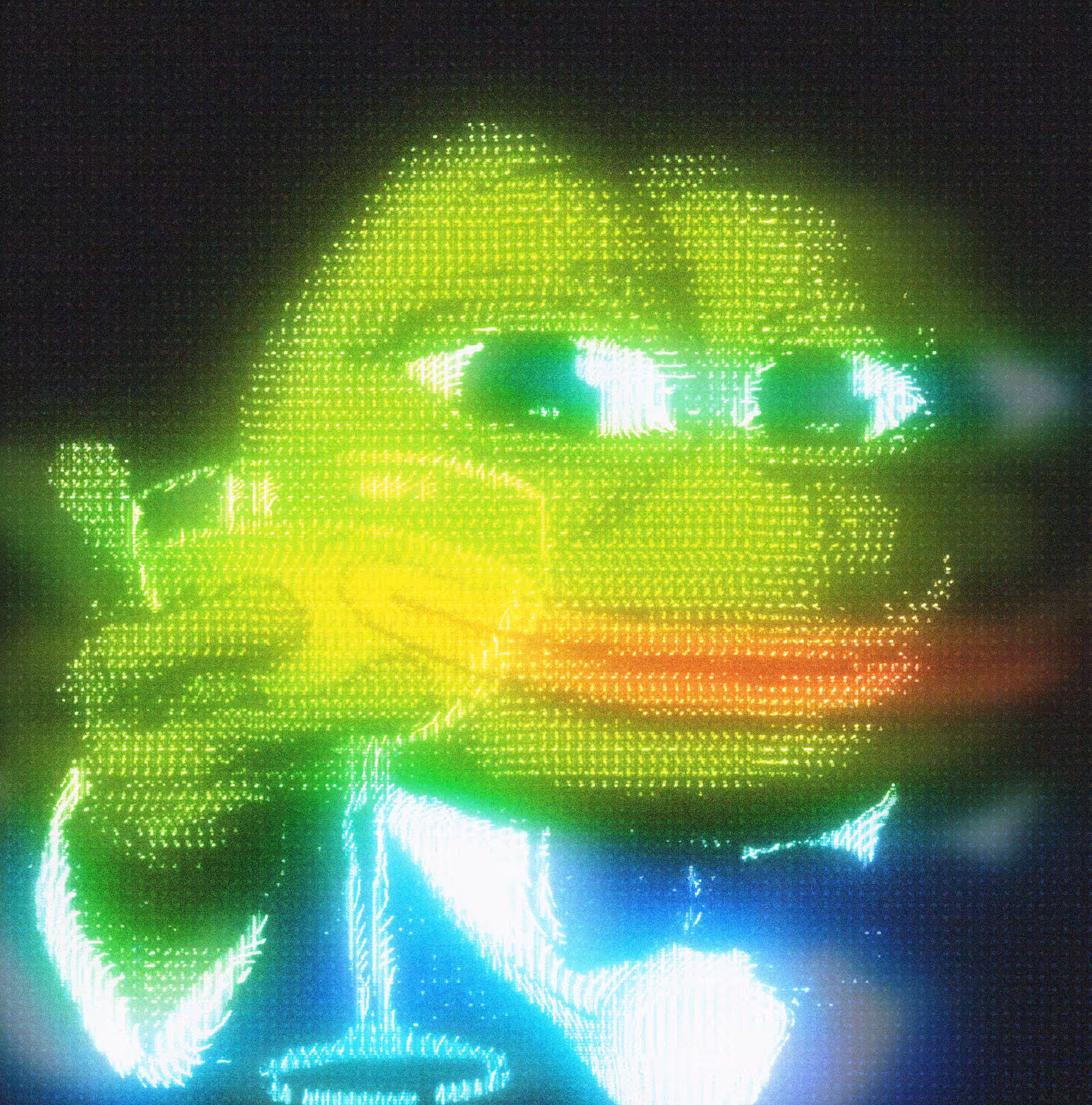 Pepe Cheers