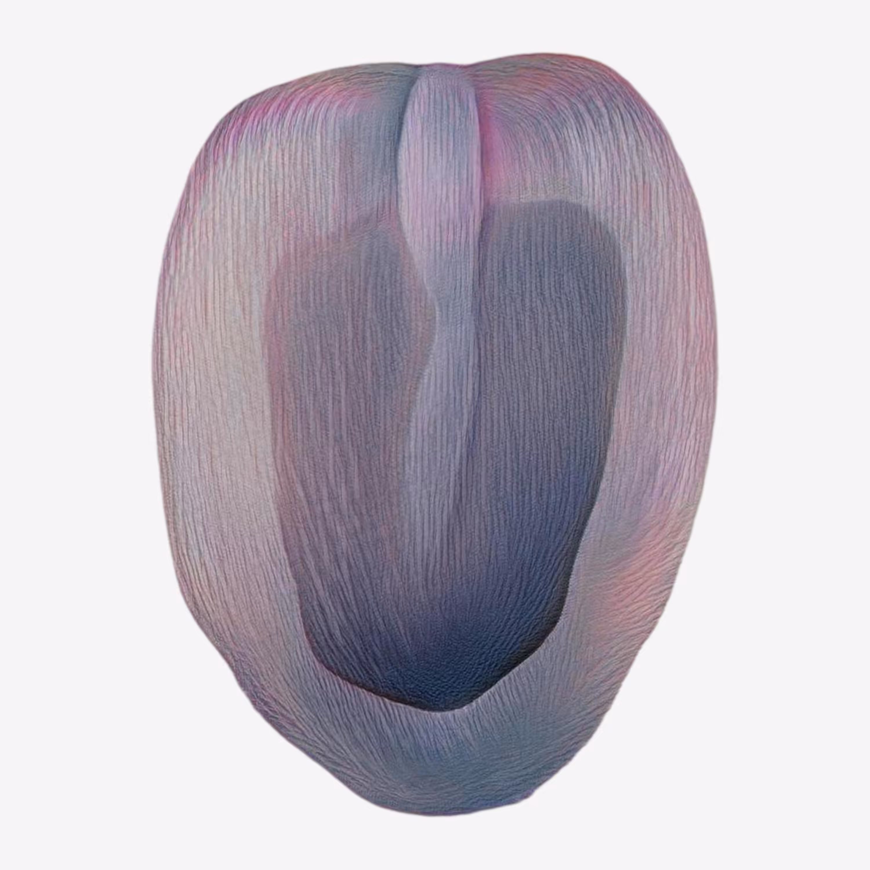 Whorl #7 “Chrysalis”