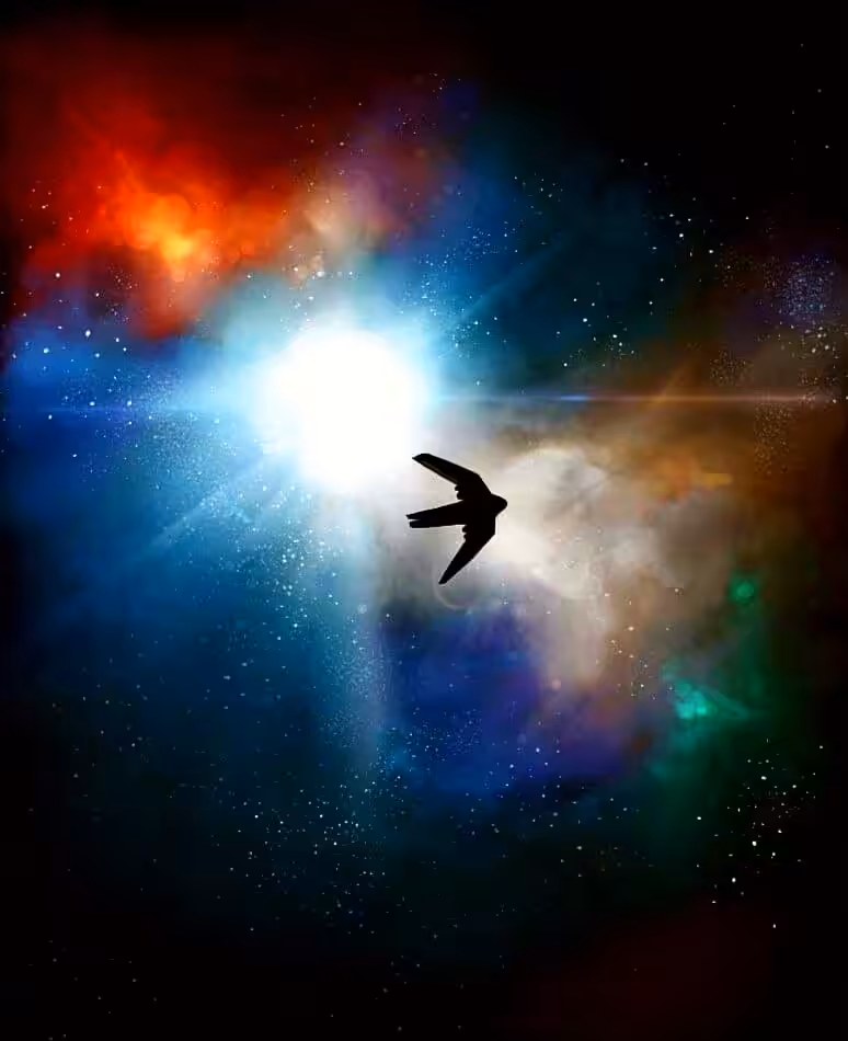 The Swallow