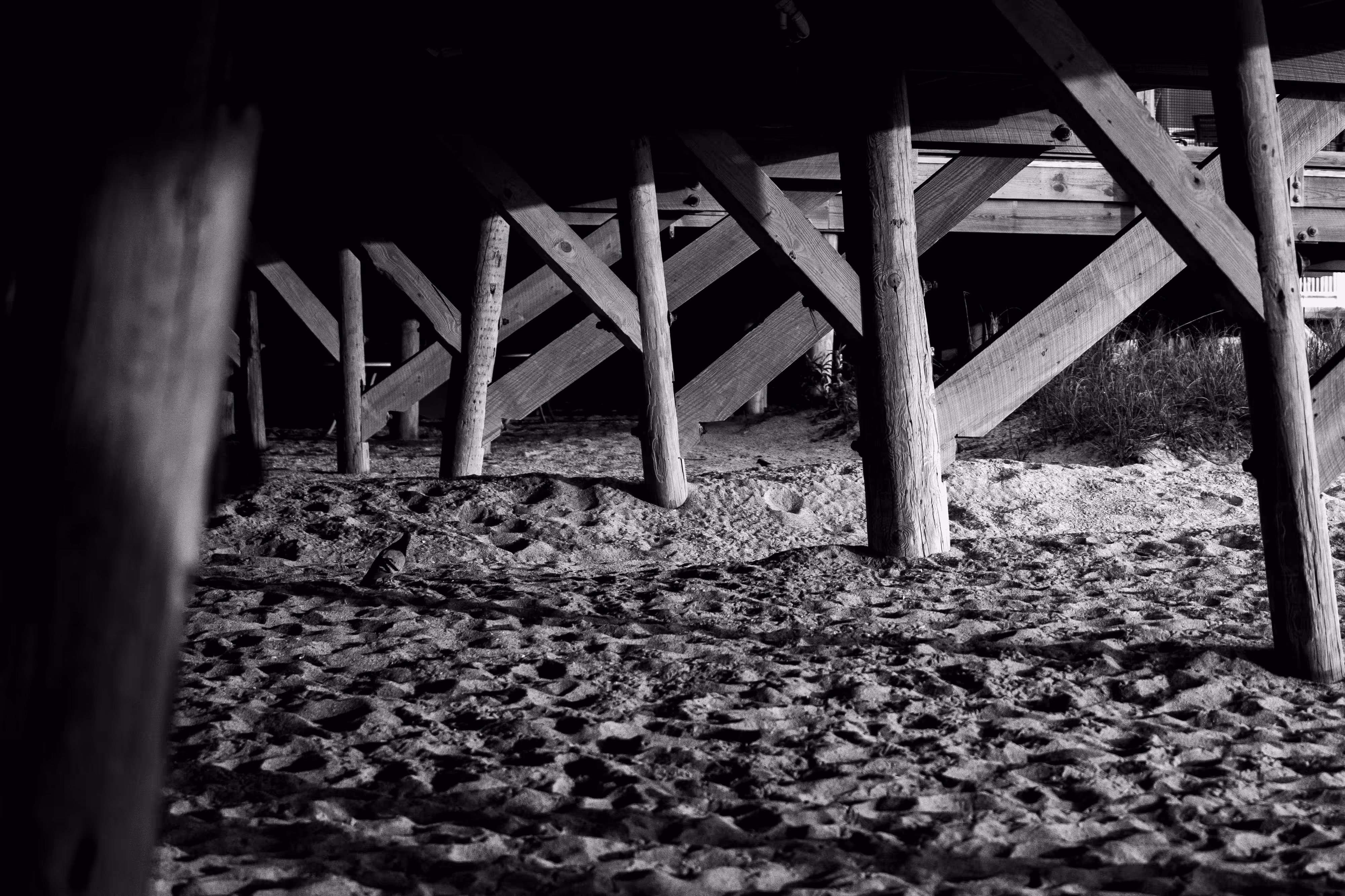 the shelter #12