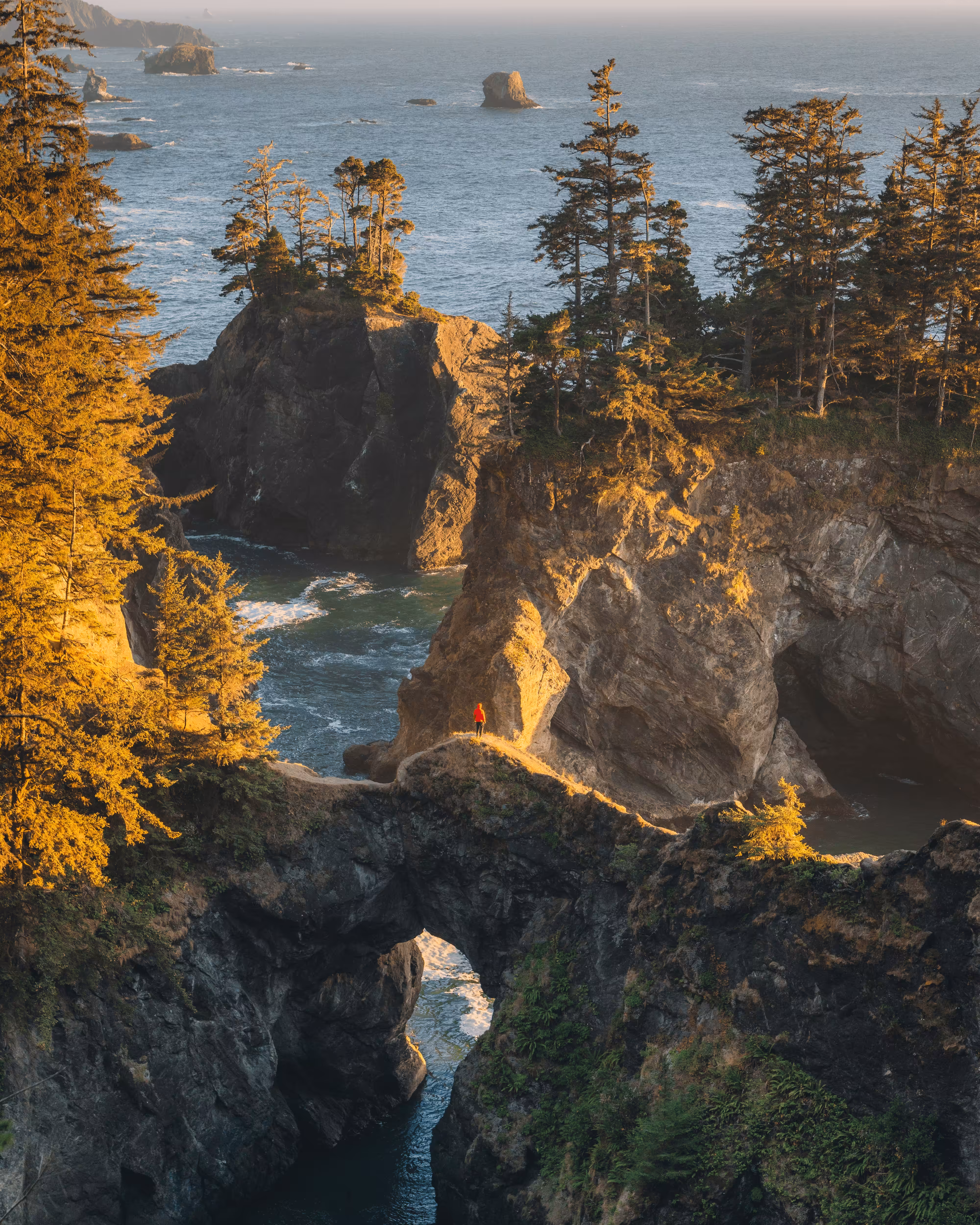 The Magnificent West #29