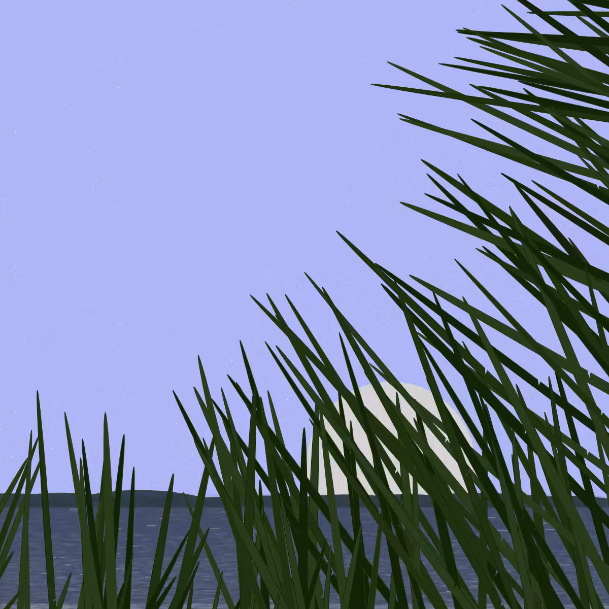 Ammophila dream #60