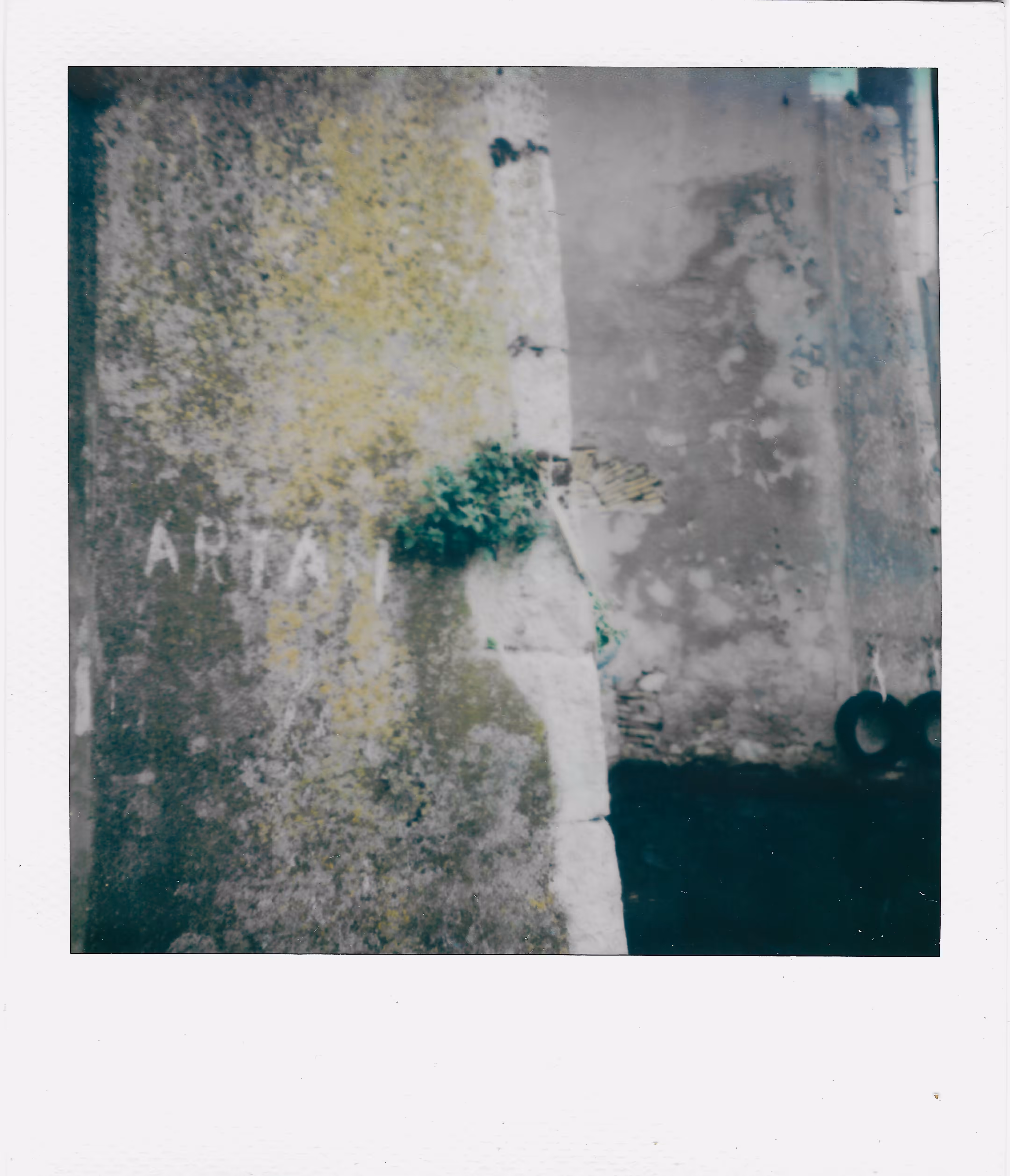 Polaroid Micro Collections: Artan was here