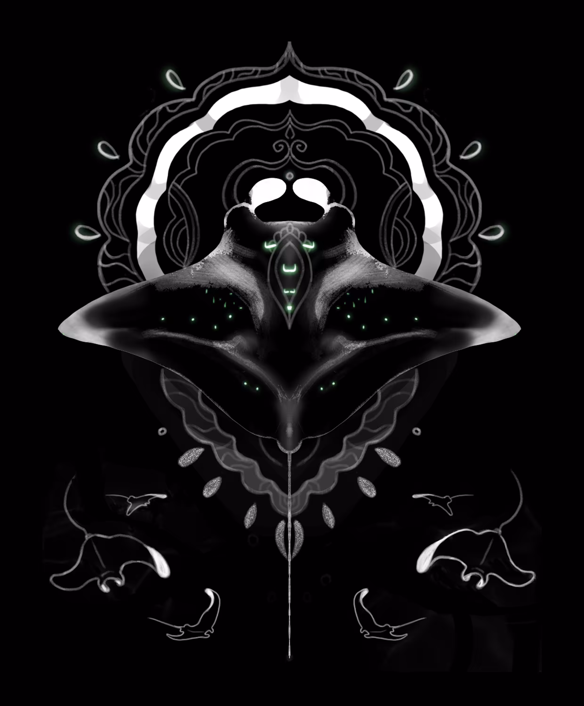 Manta- The Wings of The Ocean