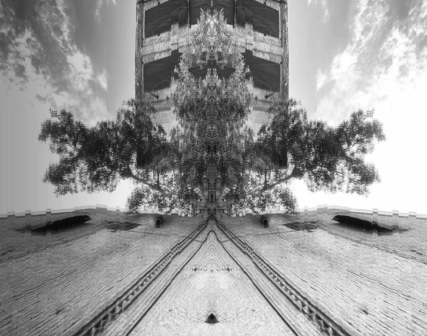 Mirror Trees 3
