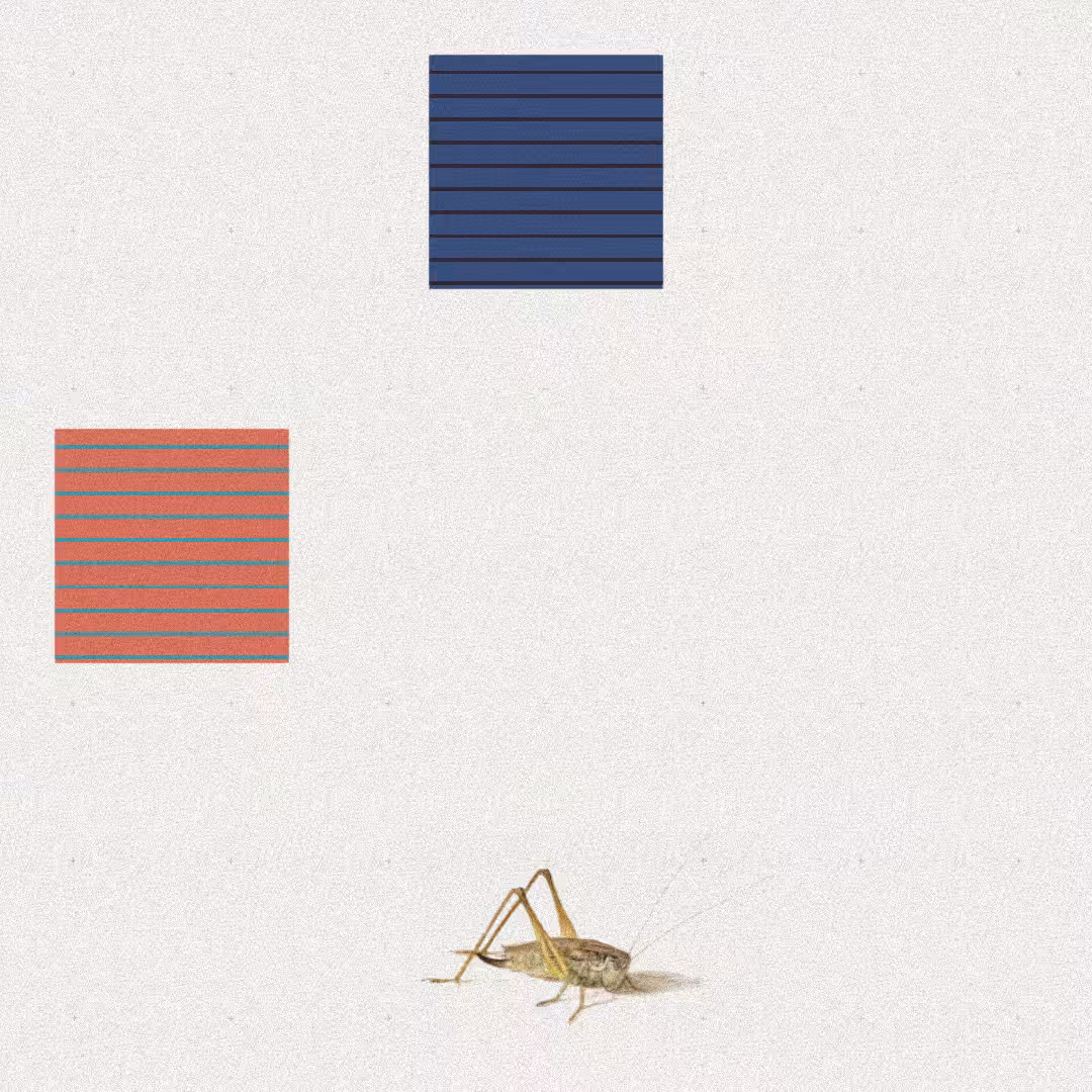 Grasshopper #21