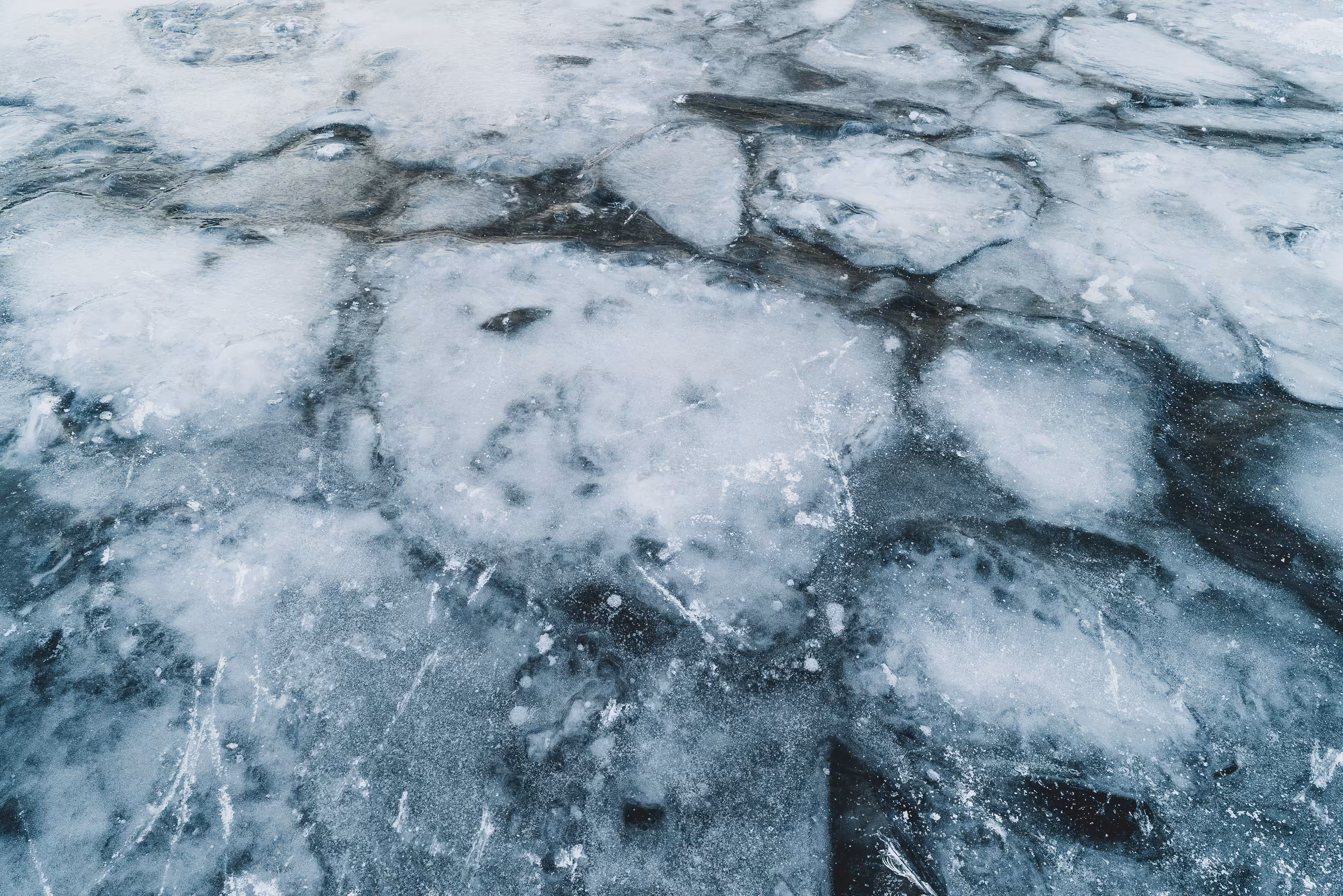 frost