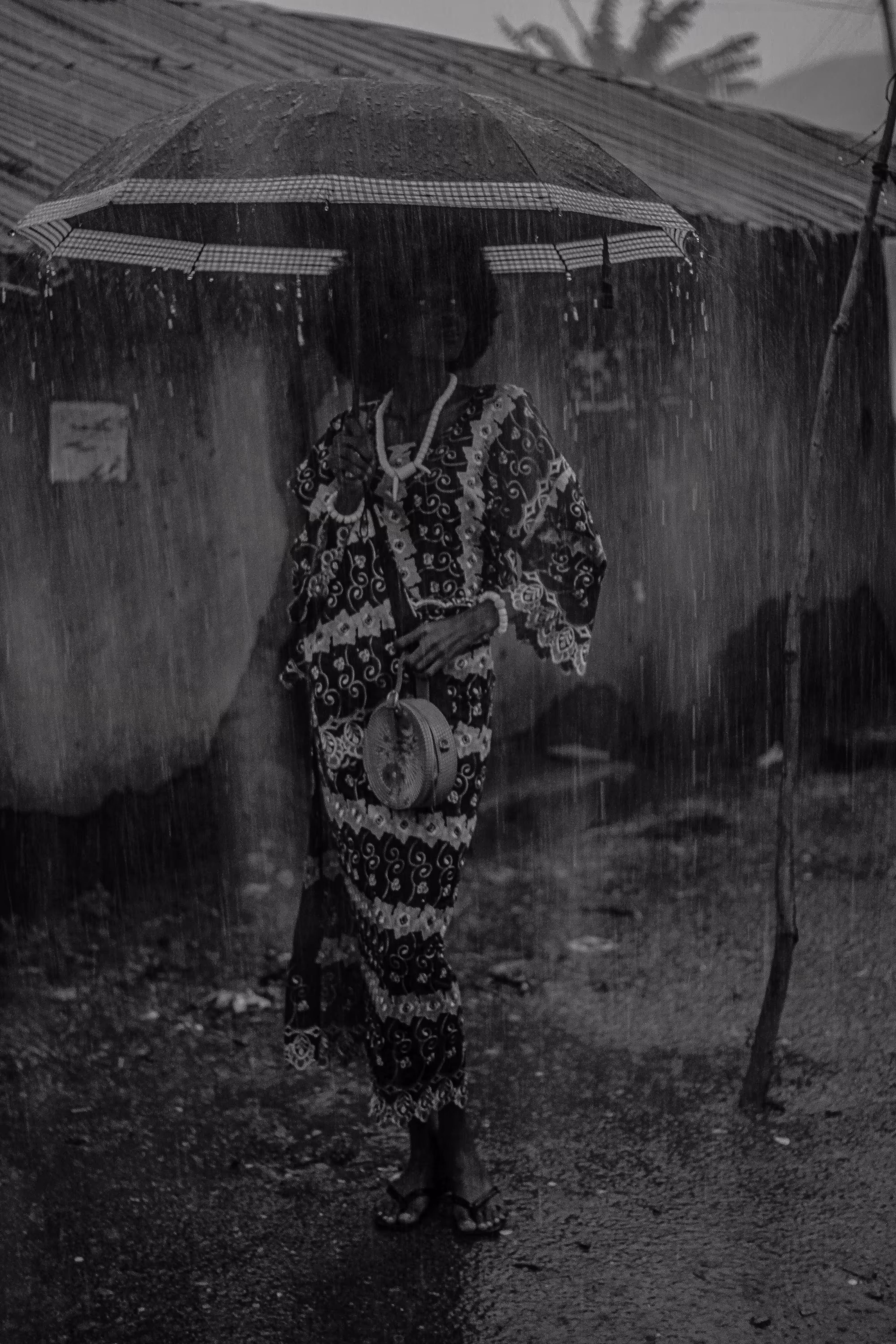 Elegance Walks in the Rain”