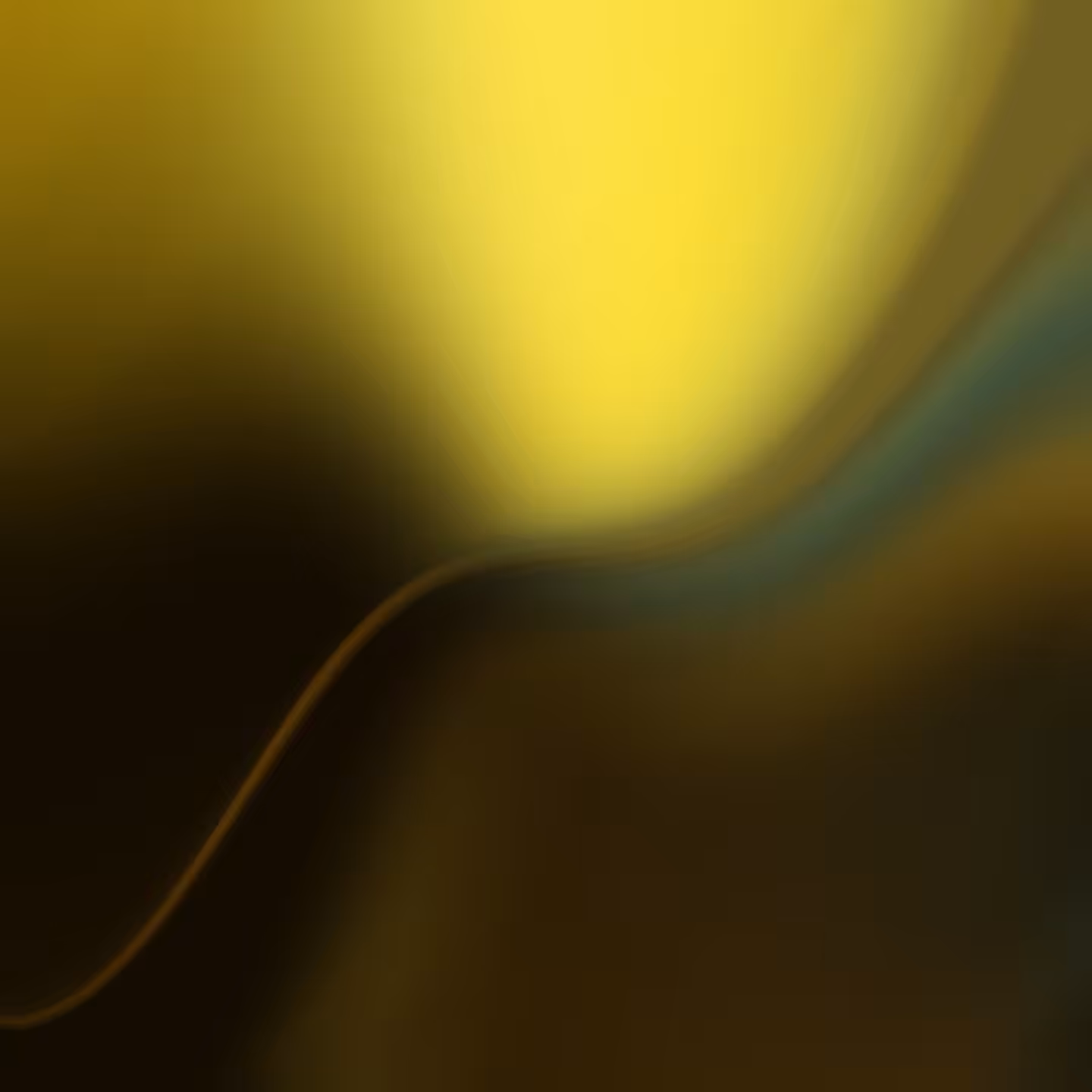 The String #5