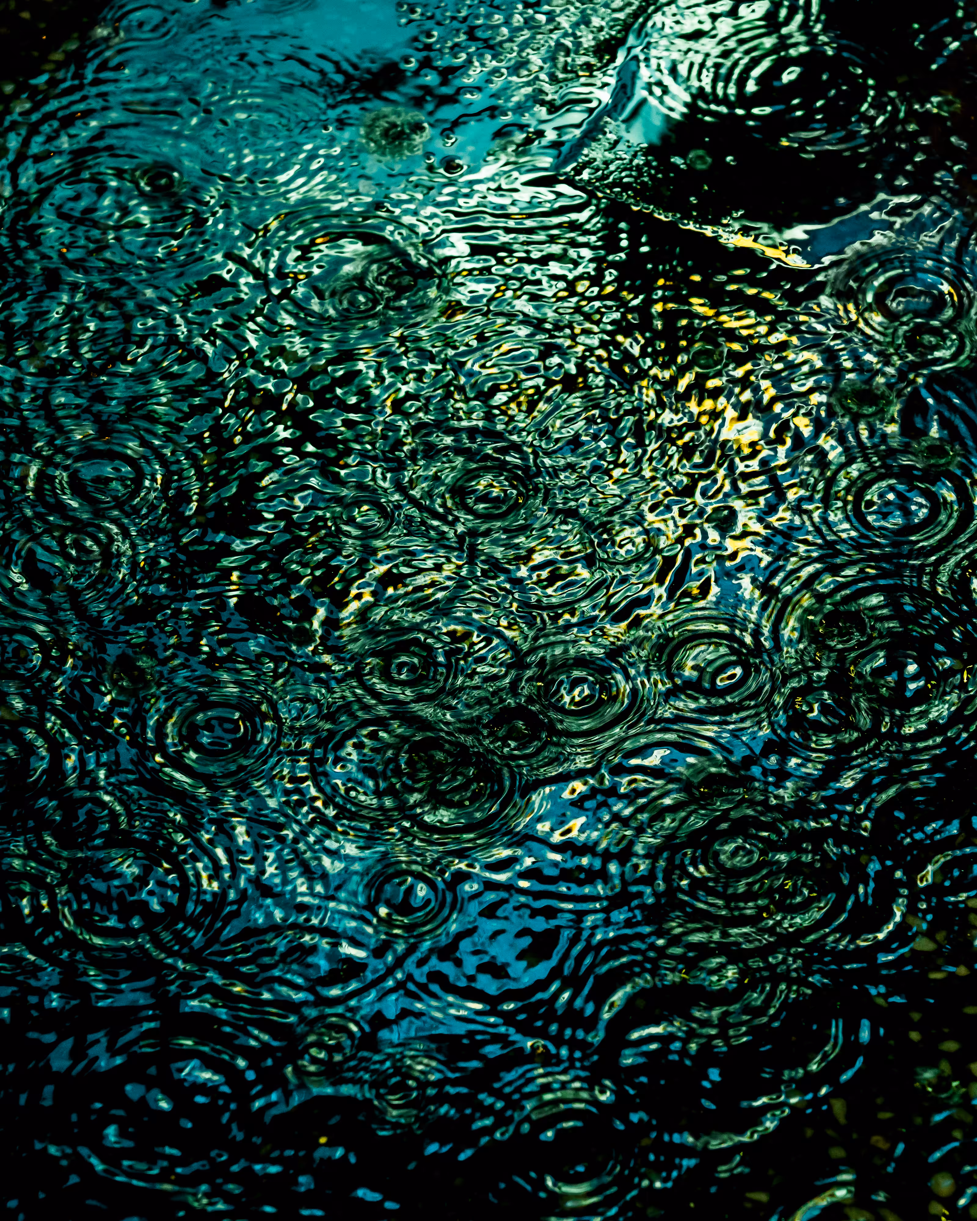 DRIP DROP: DRIP #237