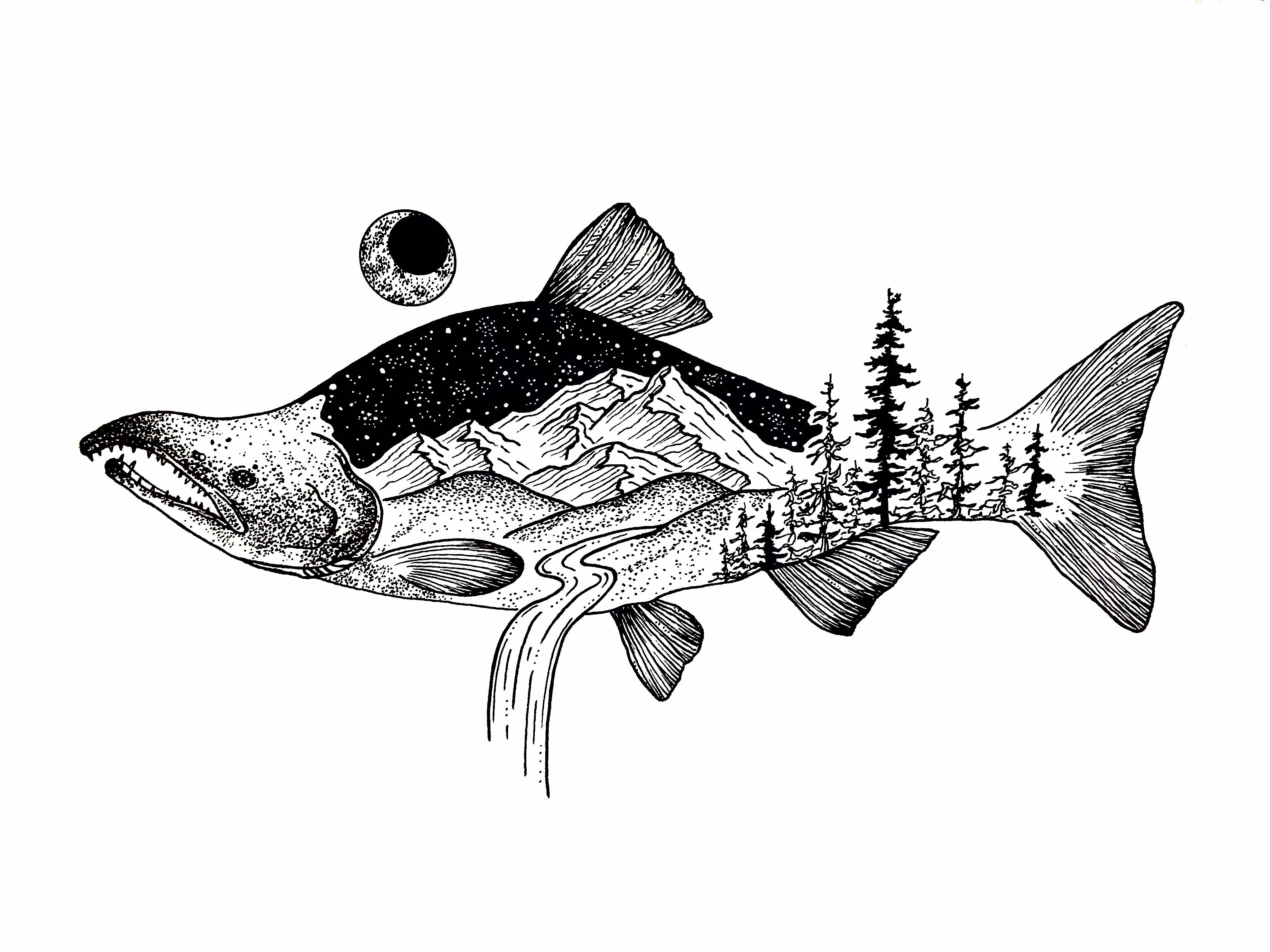 Sockeye