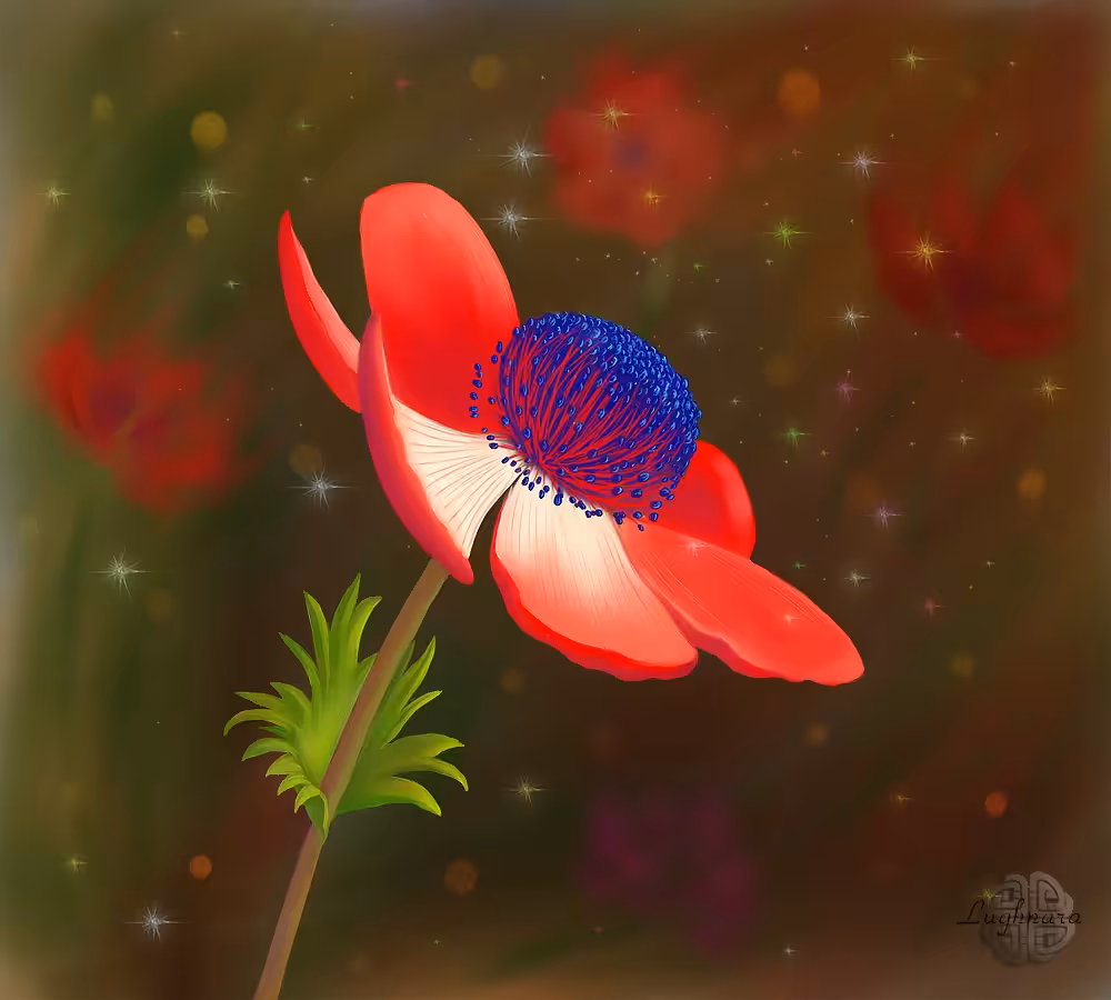 Magic Anemone