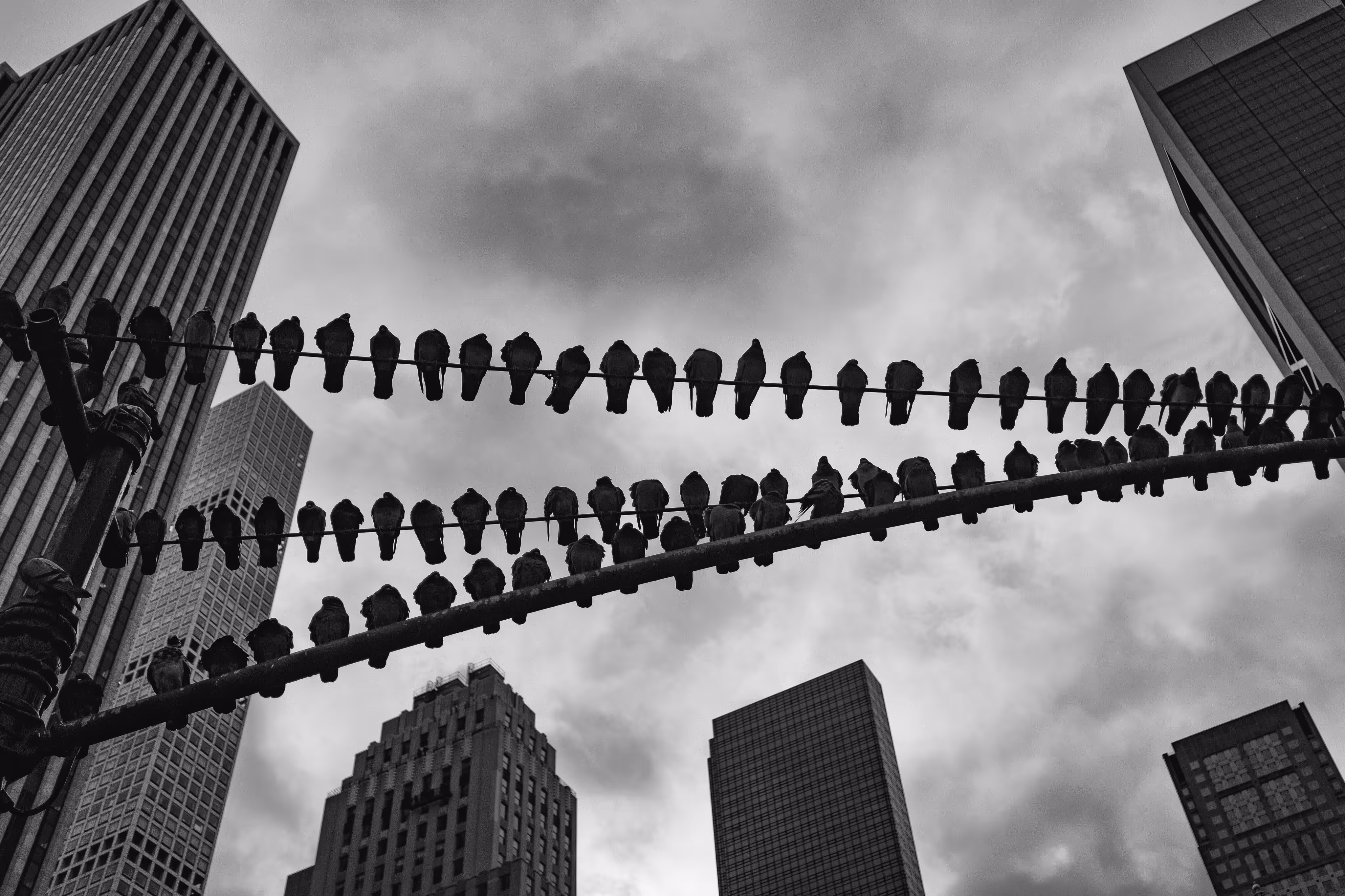 Social Distancing 