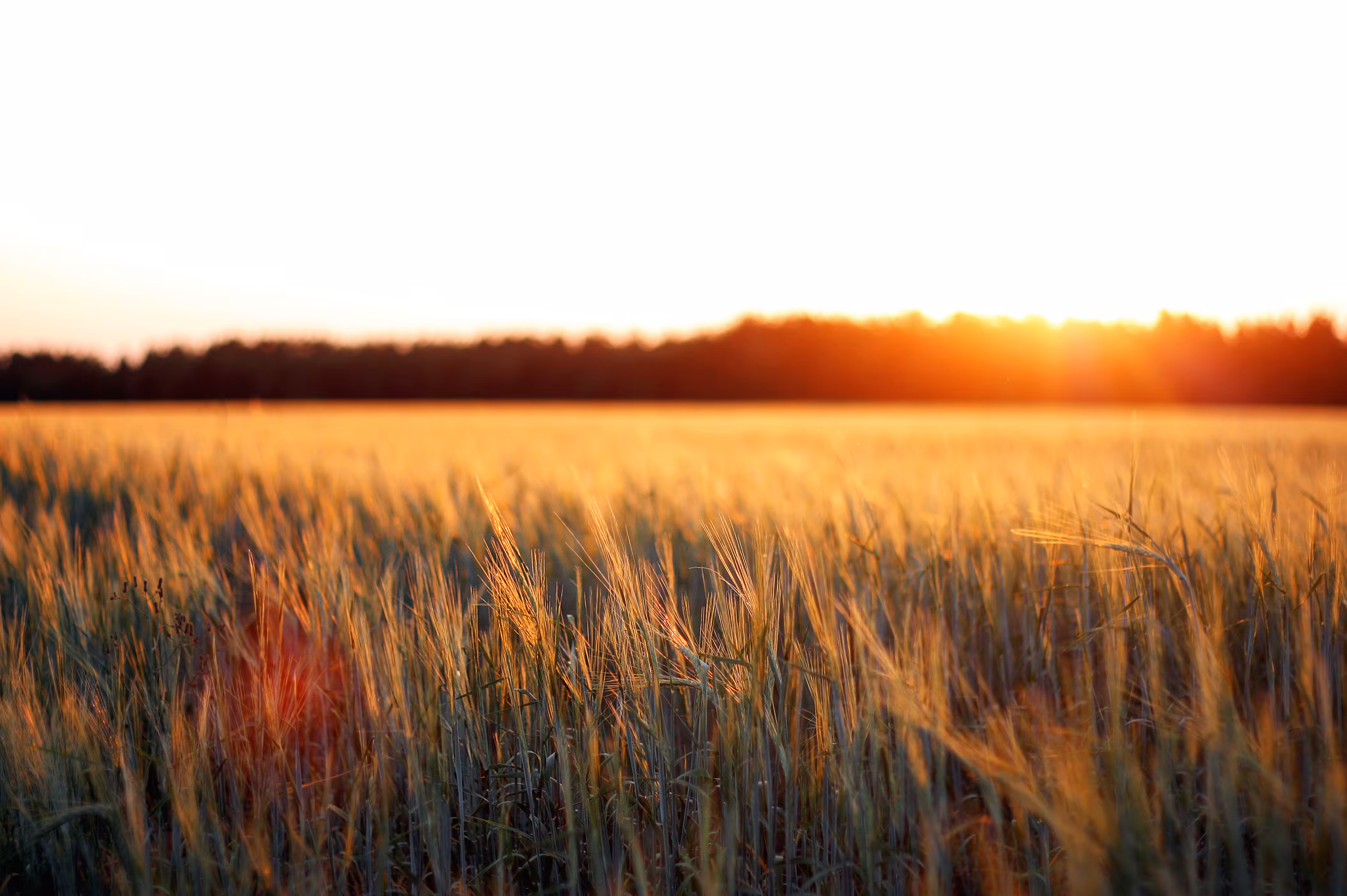 F*ck problems: Sunset in my native place