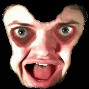 flonkvenis