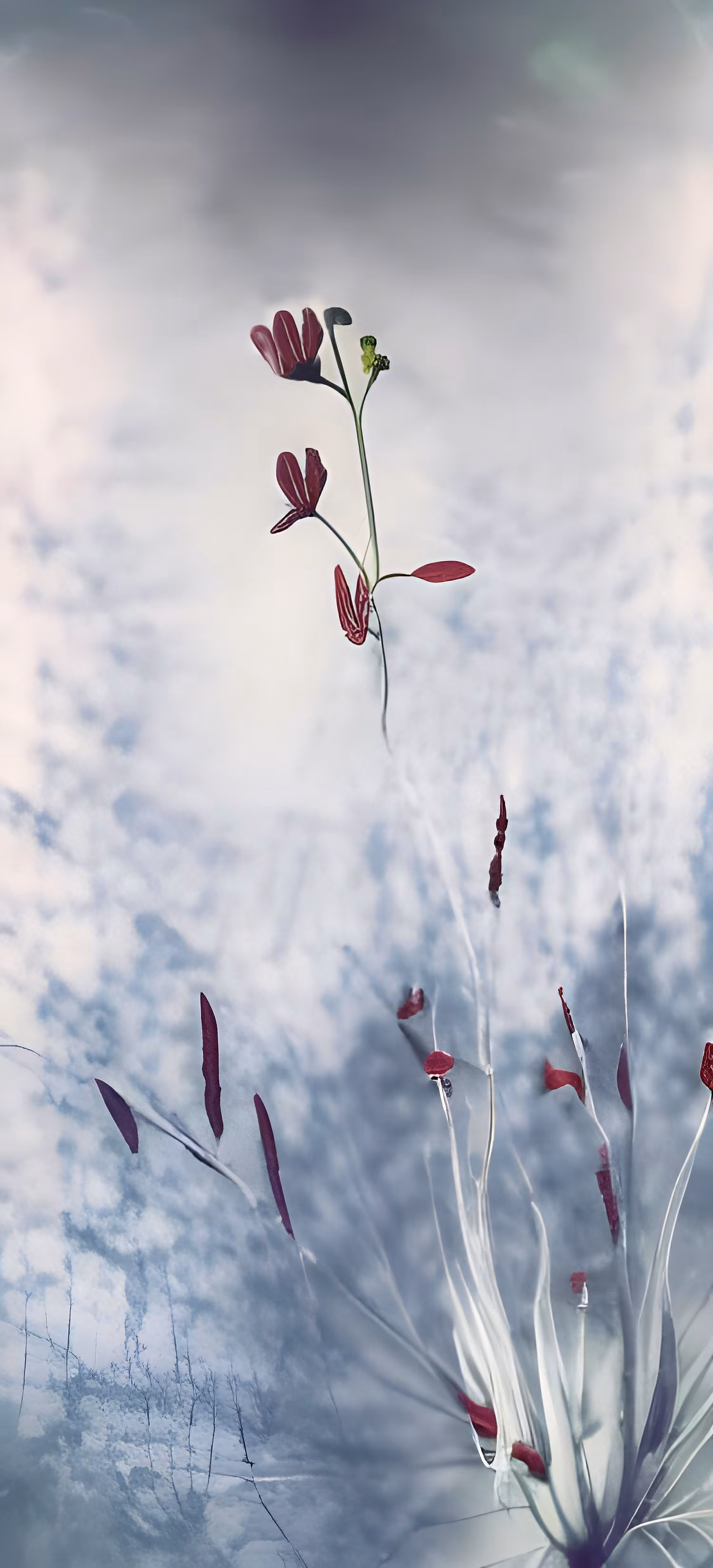 Spring instances #2