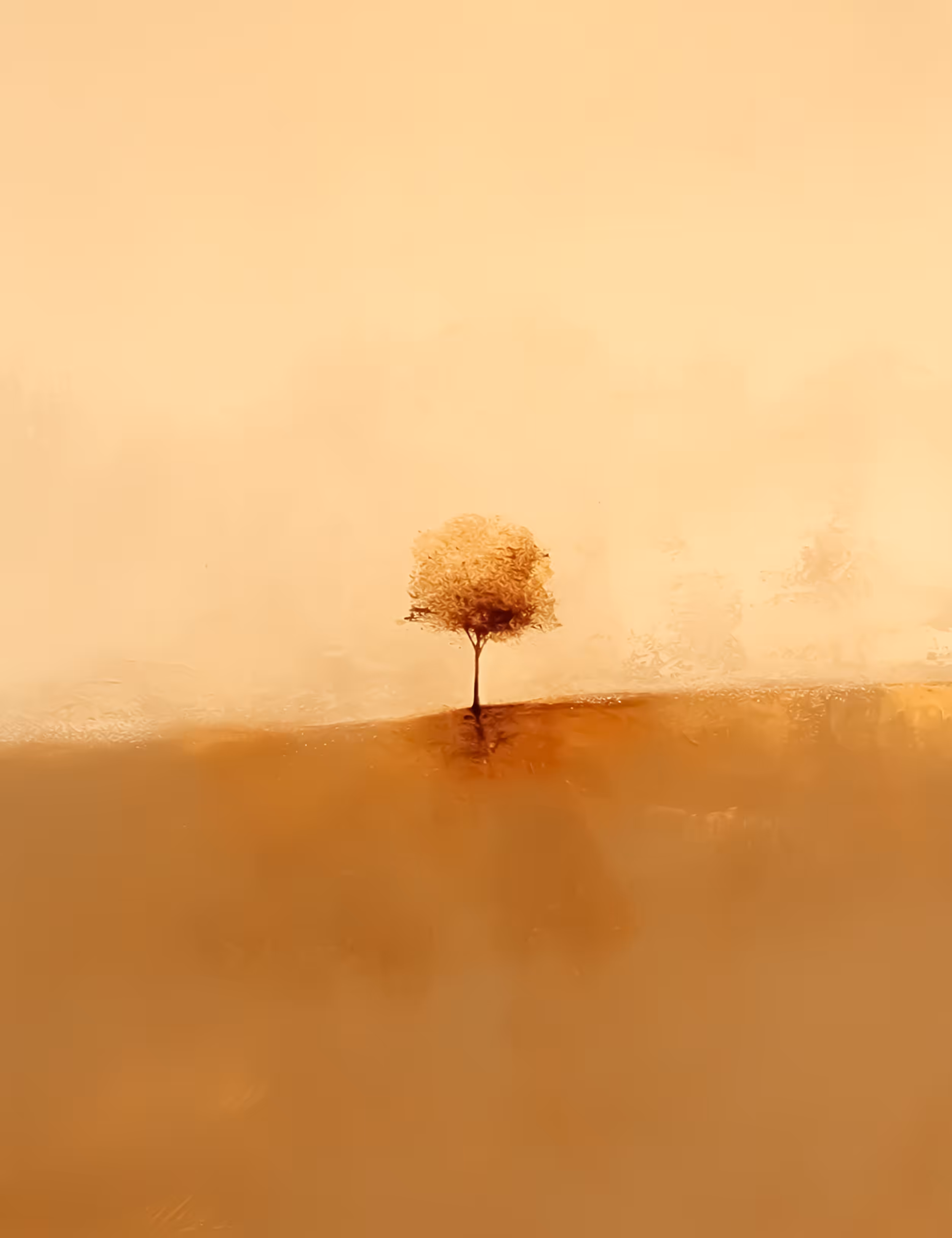 Tree .2