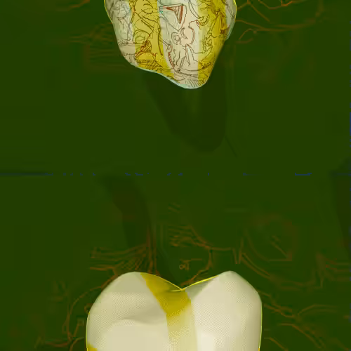 Fossils_02