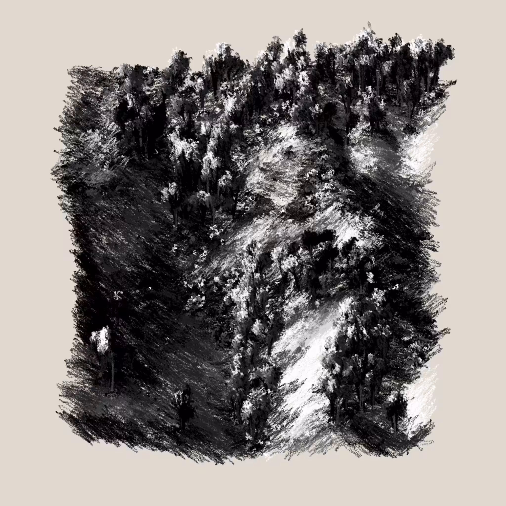 Eucalyptus and Sagebrush #140